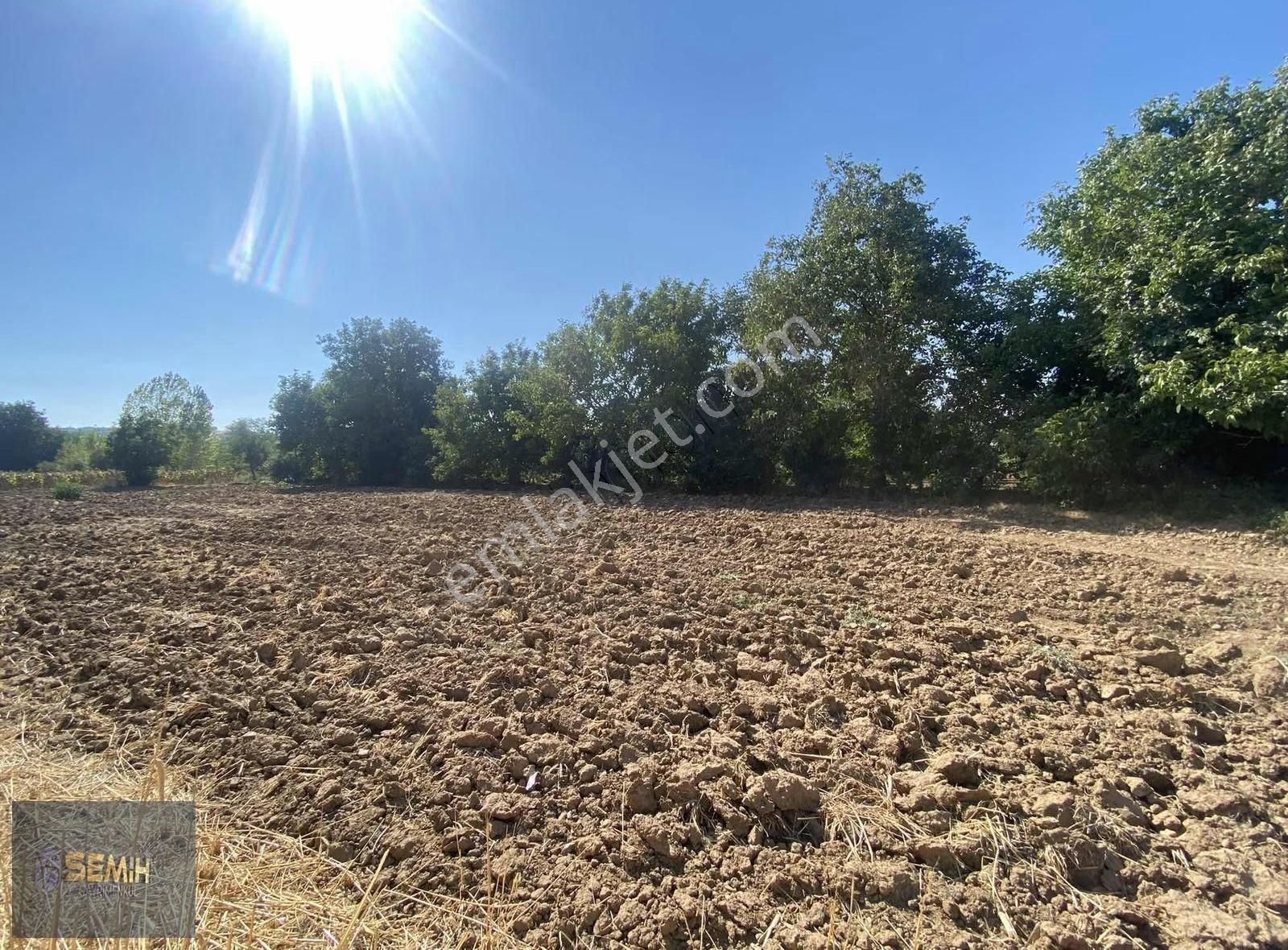 Semih'den Akbıyıkda Asfalta Yakın Konumda Açil Kaçırma