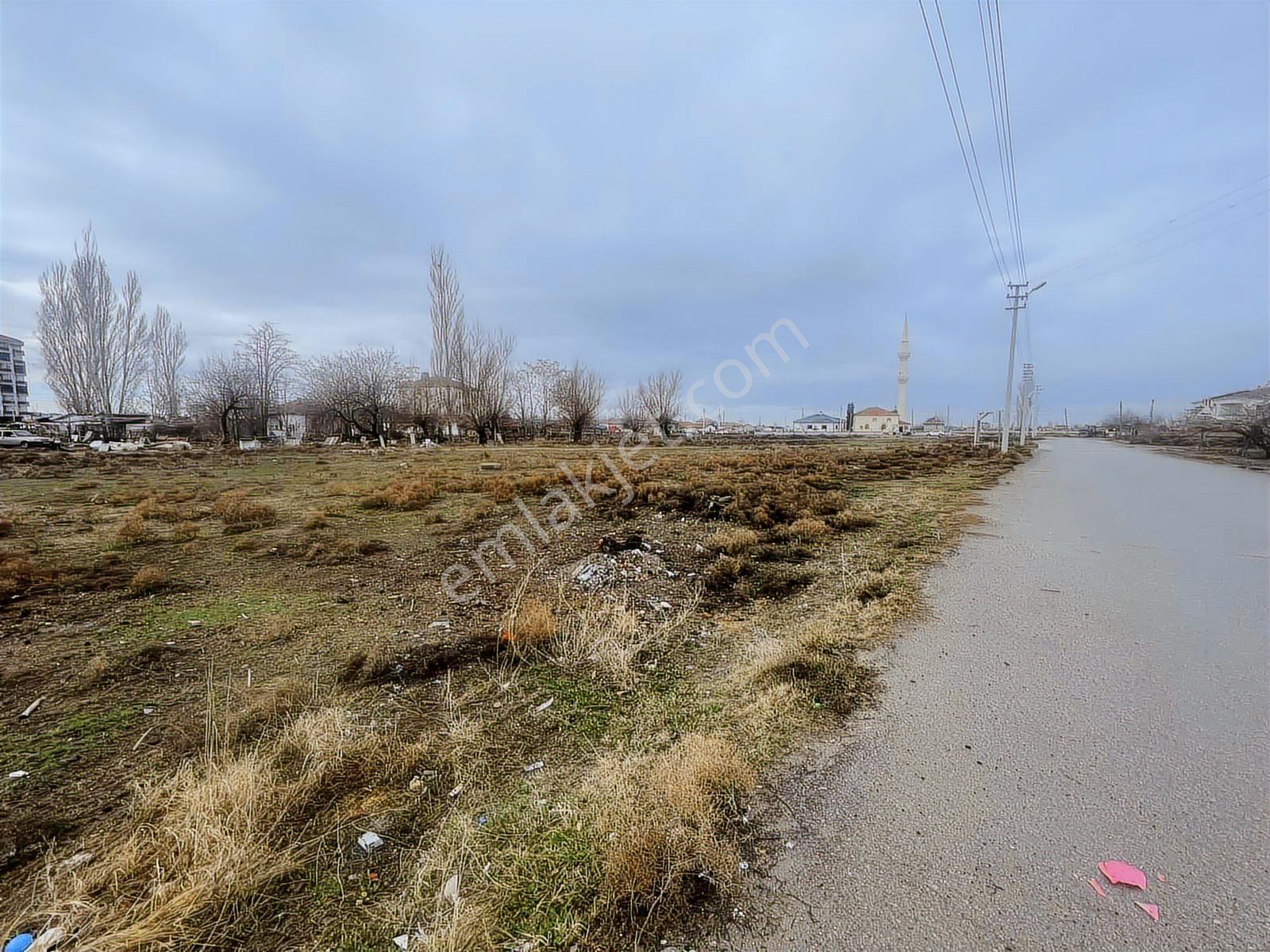 Aksaray Tacin De Büyük Ölçekli Satılık Ticari Ve Kınut Arsası - Görsel 26