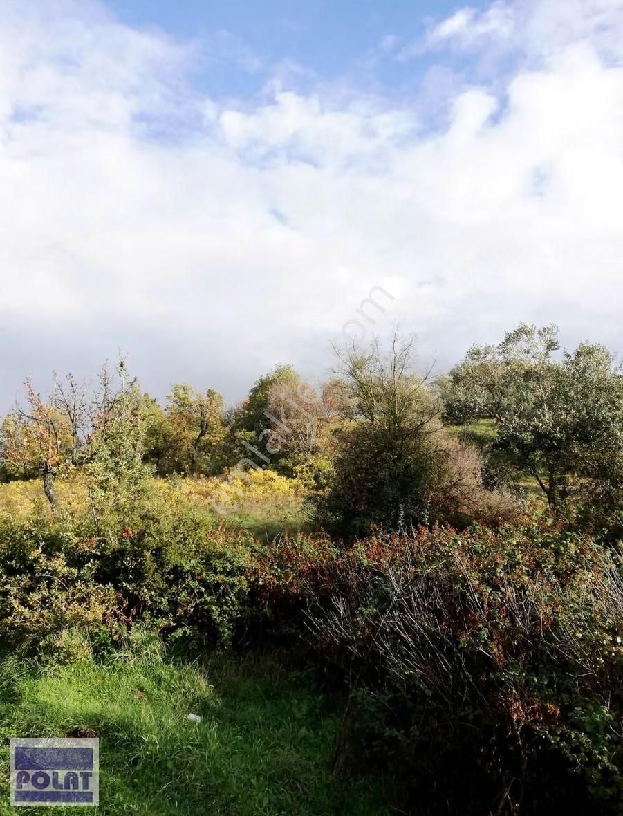 -1200m2-örlemişte Yerleşime Yakın(350m) Yollu,şakranadenize 8km - Görsel 2