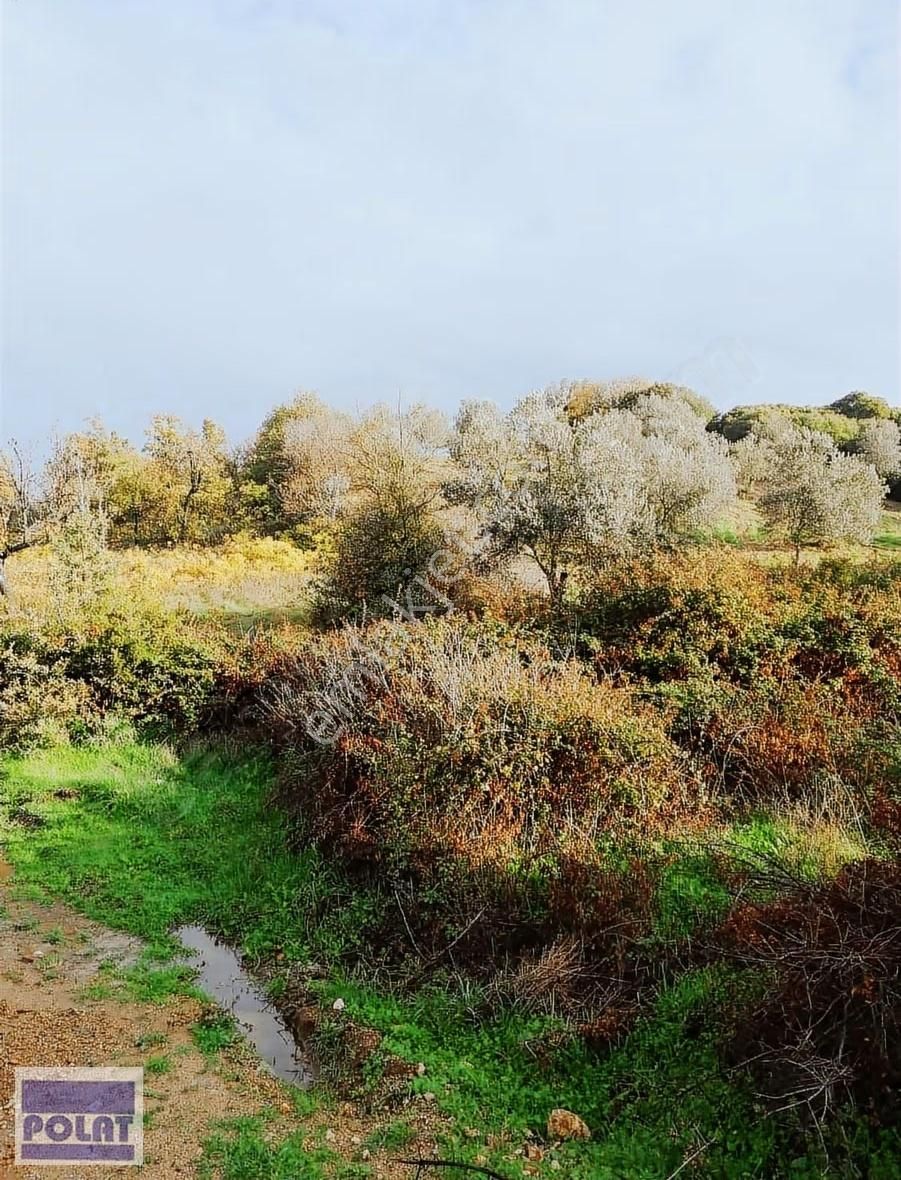 -1200m2-örlemişte Yerleşime Yakın(350m) Yollu,şakranadenize 8km - Görsel 6