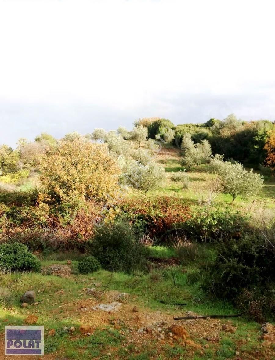 -1200m2-örlemişte Yerleşime Yakın(350m) Yollu,şakranadenize 8km - Görsel 5