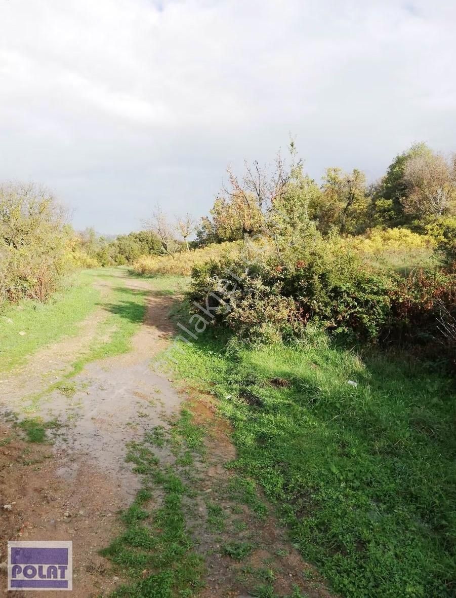 -1200m2-örlemişte Yerleşime Yakın(350m) Yollu,şakranadenize 8km