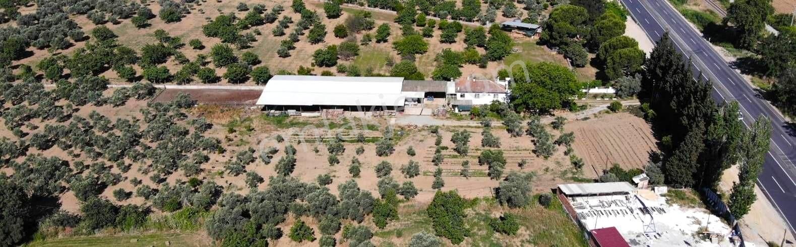 Yatırıma Uygun Herşeyi Hazır Arazi - Görsel 24