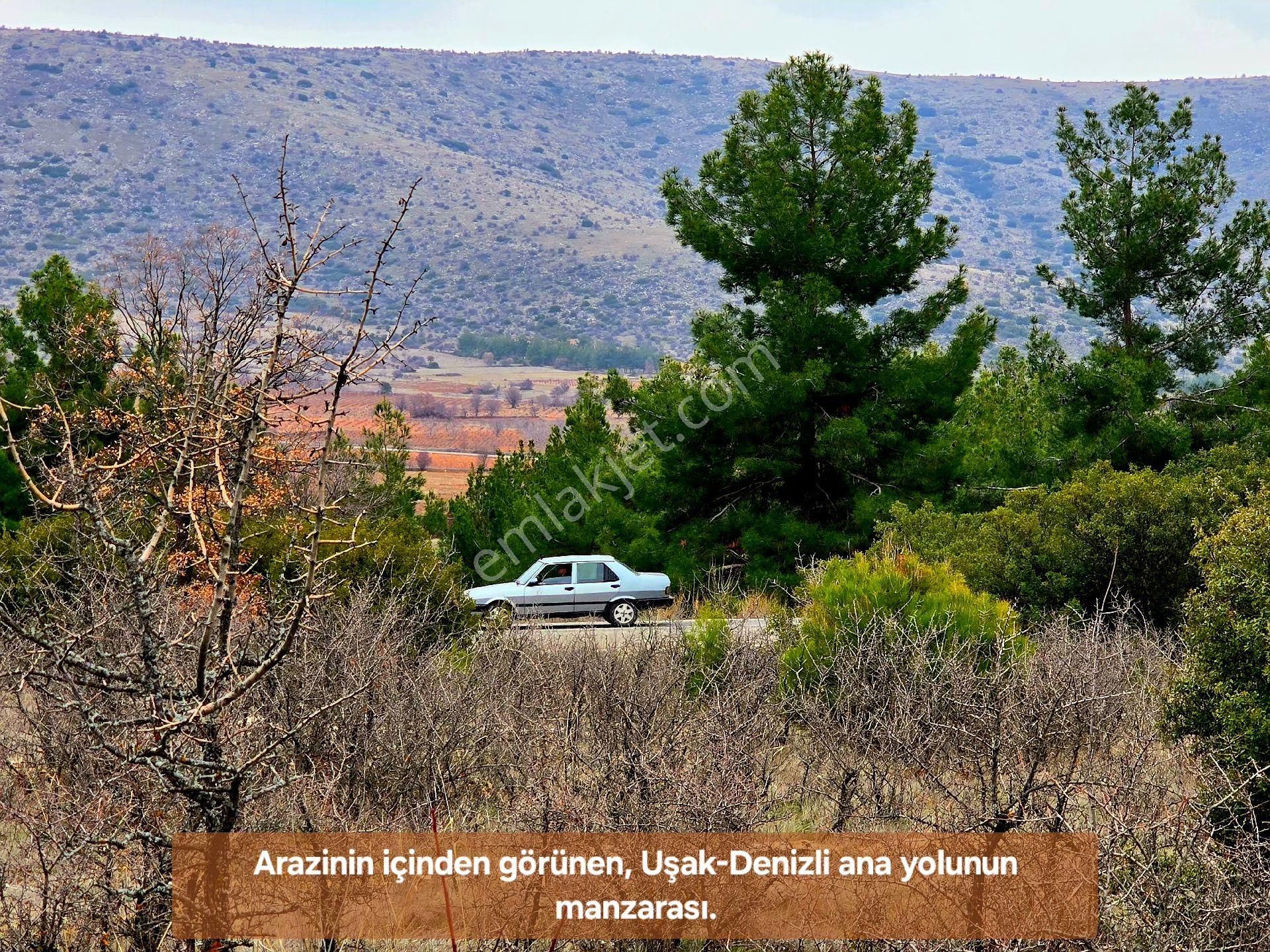 Denizli Bekilli Üçkuyu'da 1.161 M2 Karayolu Yanı, İlçe Toki Köy Manzaralı Tarla. Açıklamayı Okuyunuz - Görsel 20