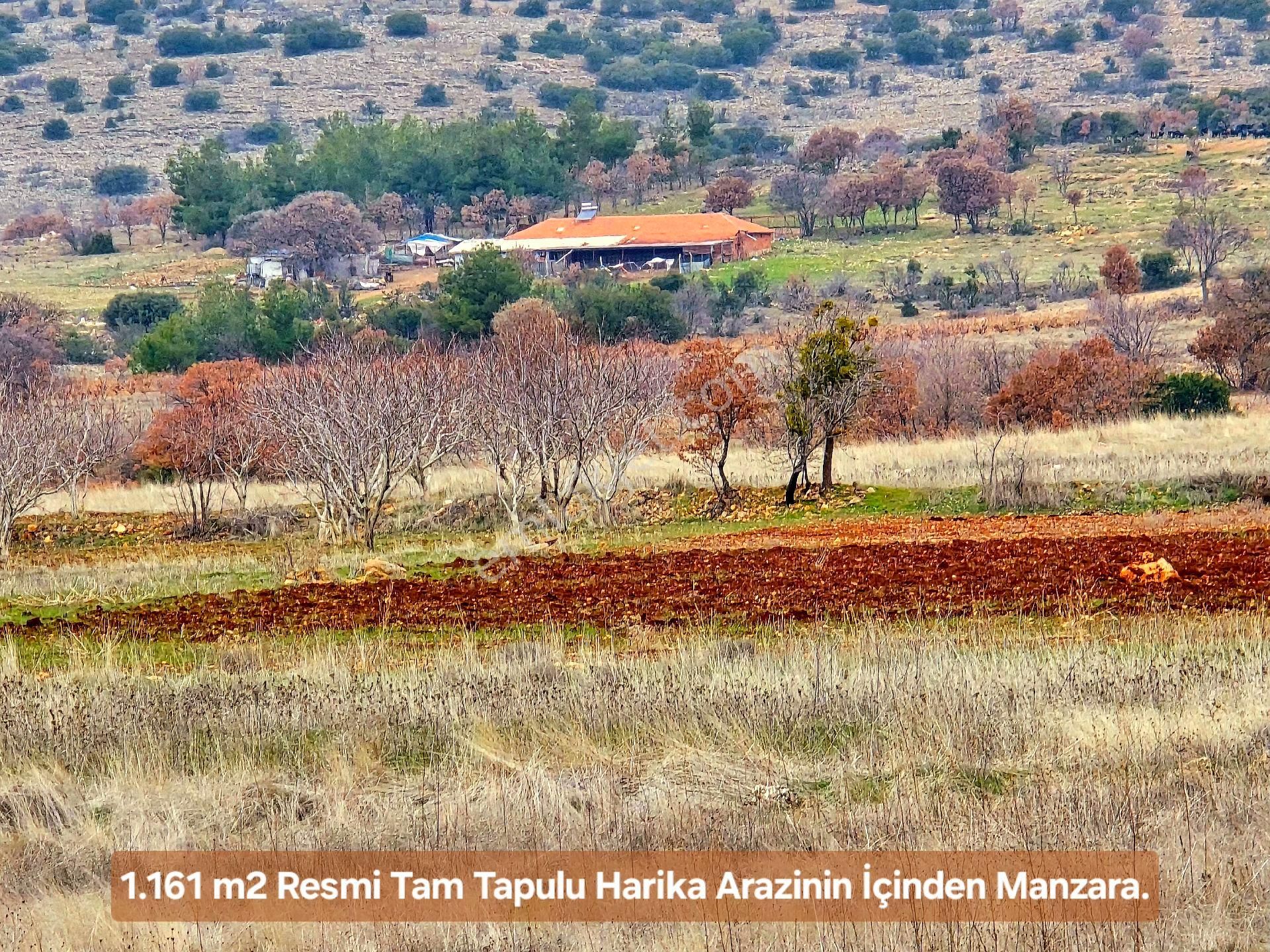 Denizli Bekilli Üçkuyu'da 1.161 M2 Karayolu Yanı, İlçe Toki Köy Manzaralı Tarla. Açıklamayı Okuyunuz - Görsel 14