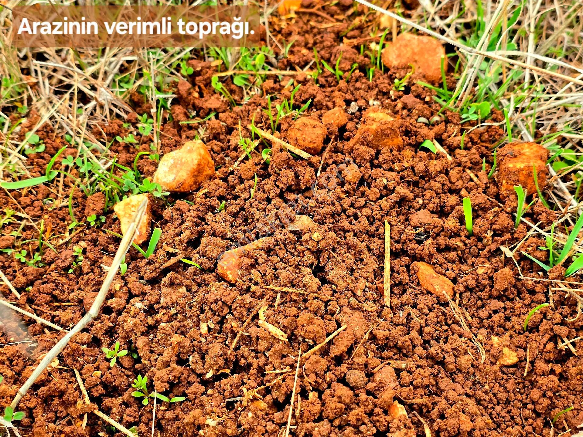 Denizli Bekilli Üçkuyu'da 1.161 M2 Karayolu Yanı, İlçe Toki Köy Manzaralı Tarla. Açıklamayı Okuyunuz - Görsel 17