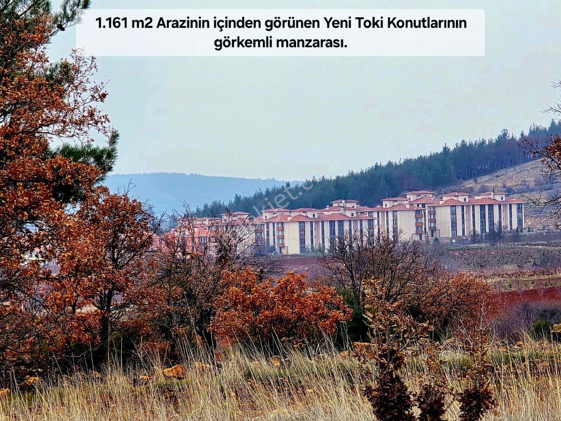 Denizli Bekilli Üçkuyu'da 1.161 M2 Karayolu Yanı, İlçe Toki Köy Manzaralı Tarla. Açıklamayı Okuyunuz - Görsel 11