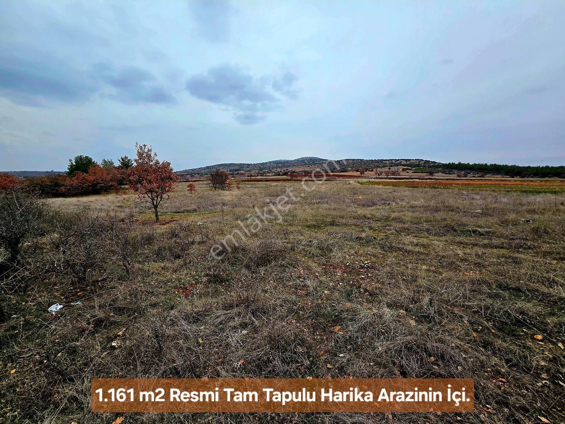 Denizli Bekilli Üçkuyu'da 1.161 M2 Karayolu Yanı, İlçe Toki Köy Manzaralı Tarla. Açıklamayı Okuyunuz - Görsel 15