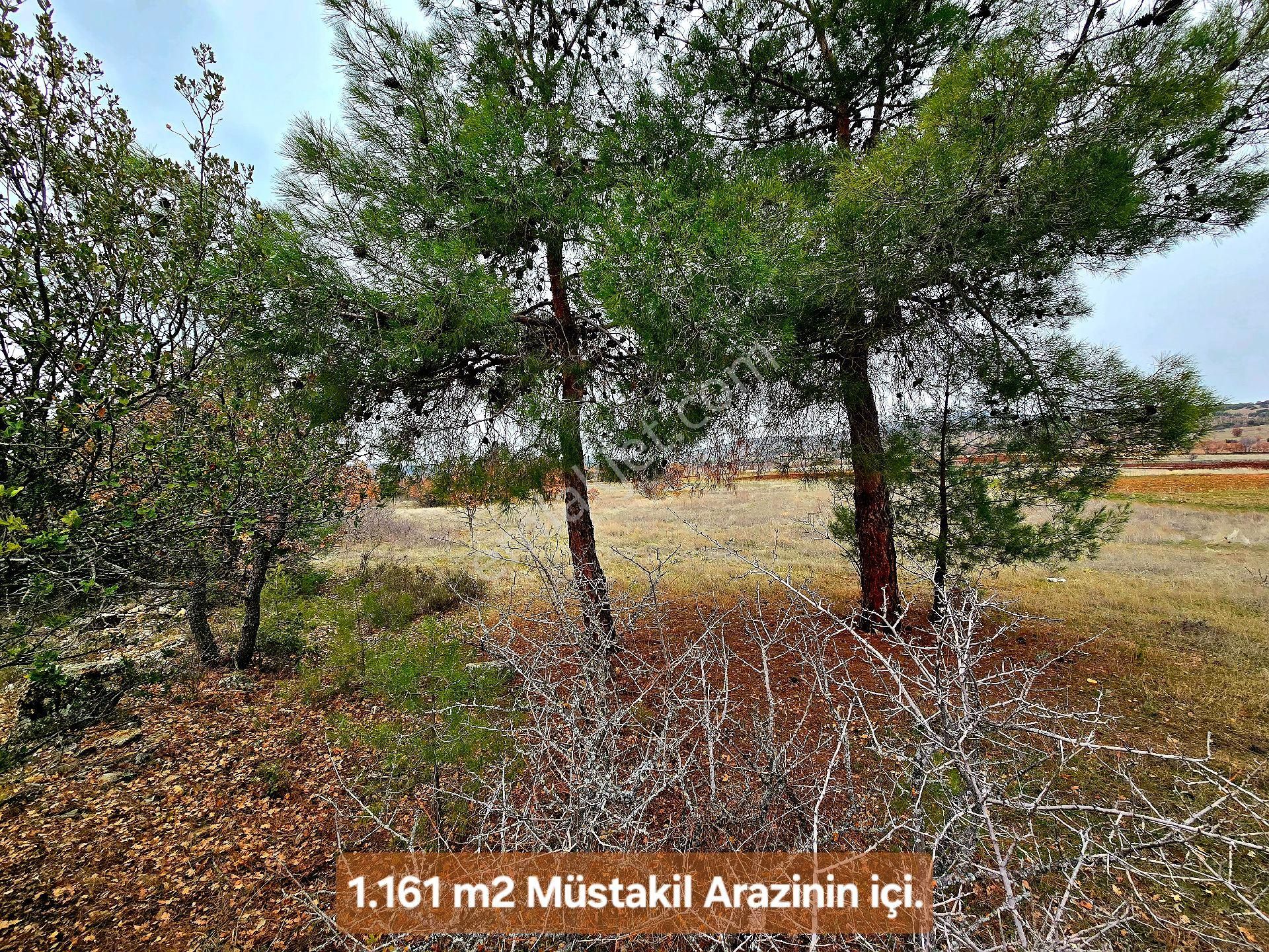 Denizli Bekilli Üçkuyu'da 1.161 M2 Karayolu Yanı, İlçe Toki Köy Manzaralı Tarla. Açıklamayı Okuyunuz - Görsel 21