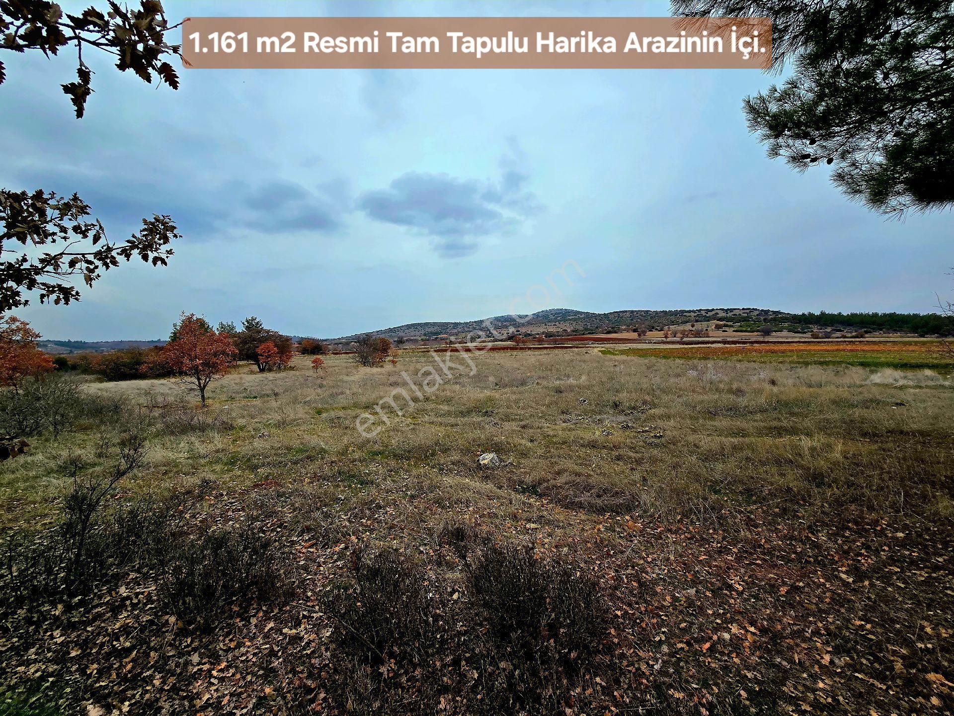 Denizli Bekilli Üçkuyu'da 1.161 M2 Karayolu Yanı, İlçe Toki Köy Manzaralı Tarla. Açıklamayı Okuyunuz - Görsel 13