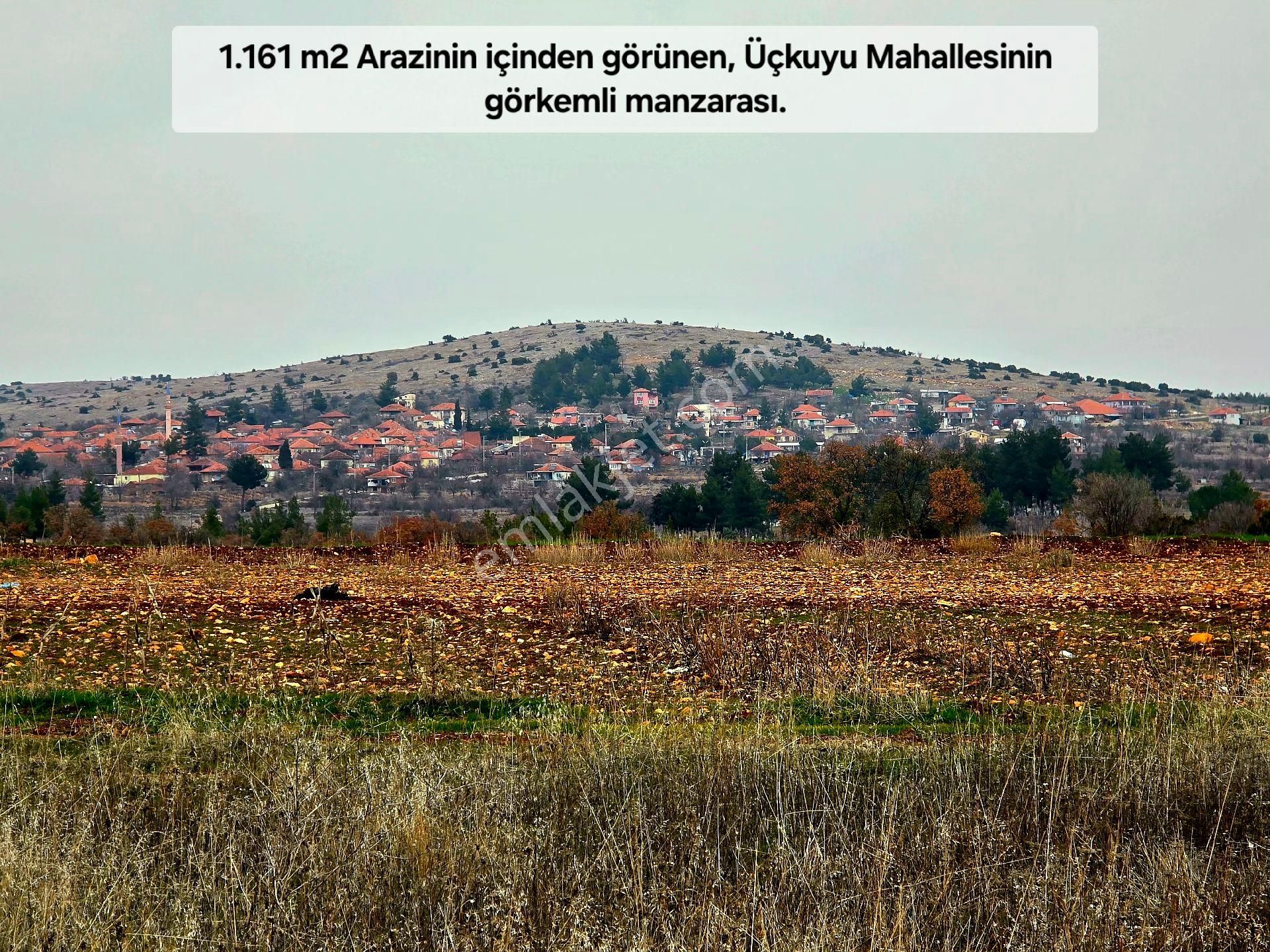 Denizli Bekilli Üçkuyu'da 1.161 M2 Karayolu Yanı, İlçe Toki Köy Manzaralı Tarla. Açıklamayı Okuyunuz - Görsel 9