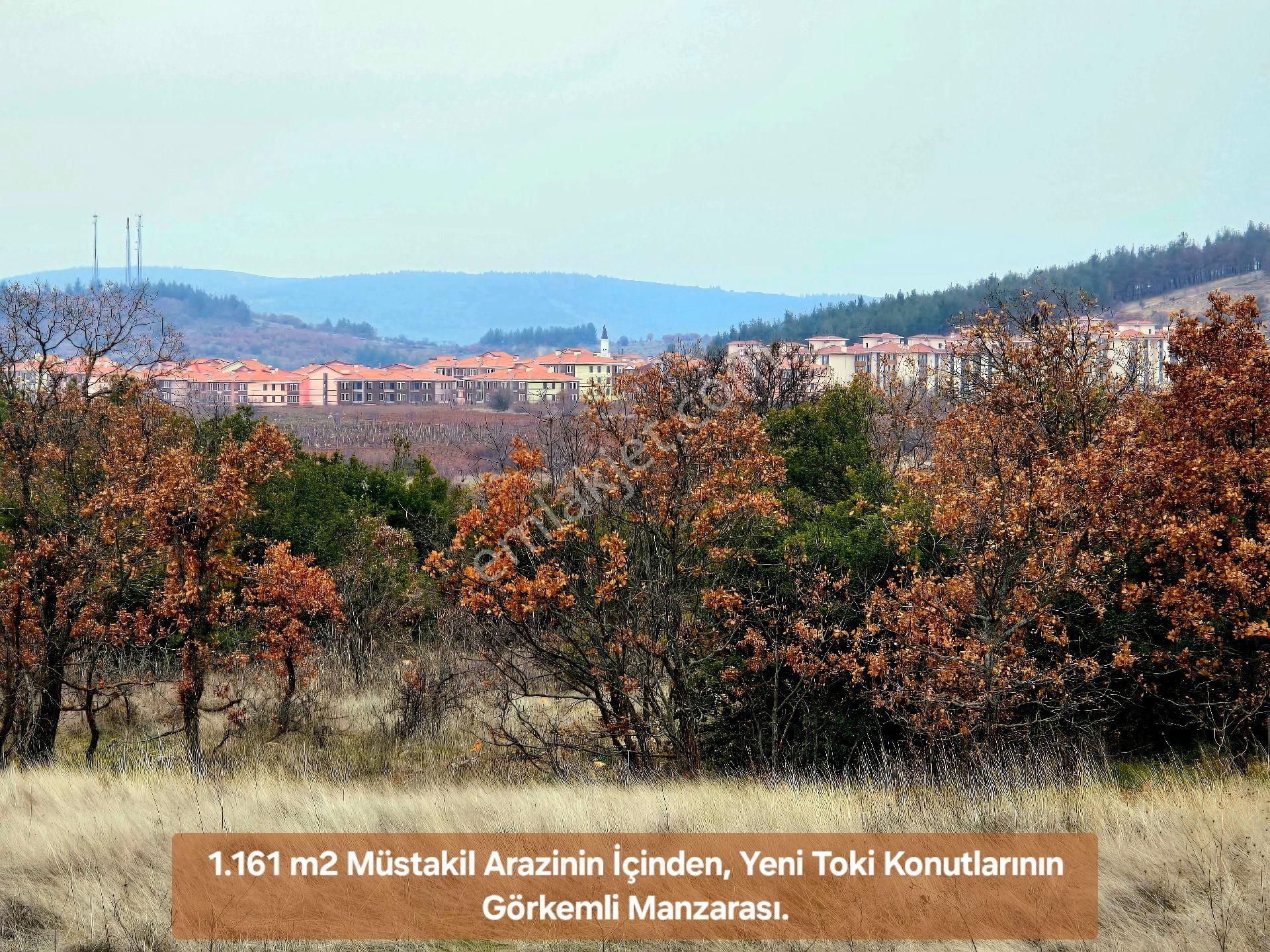 Denizli Bekilli Üçkuyu'da 1.161 M2 Karayolu Yanı, İlçe Toki Köy Manzaralı Tarla. Açıklamayı Okuyunuz - Görsel 24