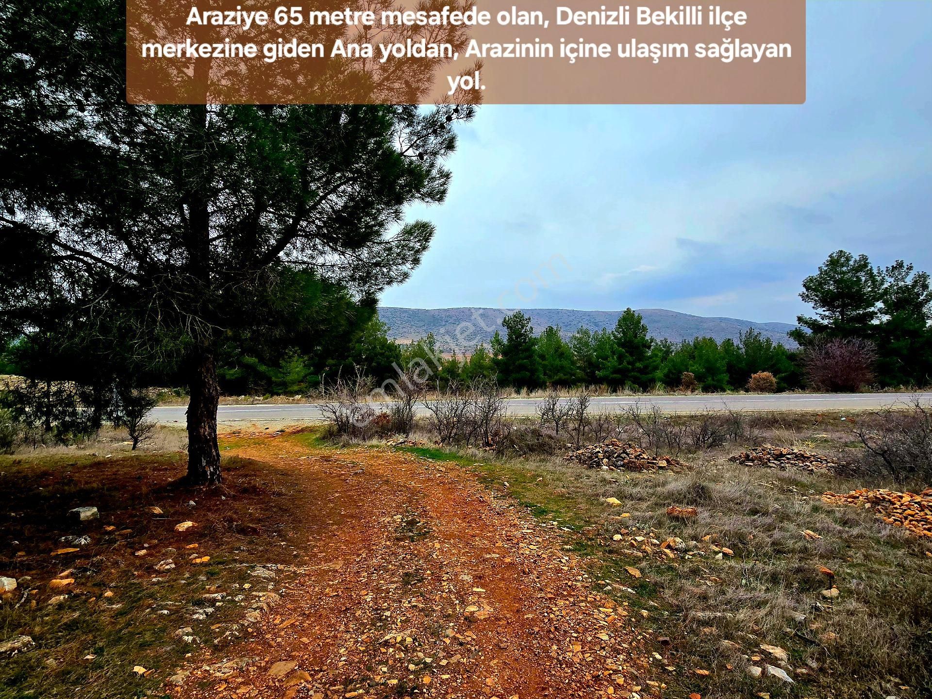 Denizli Bekilli Üçkuyu'da 1.161 M2 Karayolu Yanı, İlçe Toki Köy Manzaralı Tarla. Açıklamayı Okuyunuz - Görsel 25