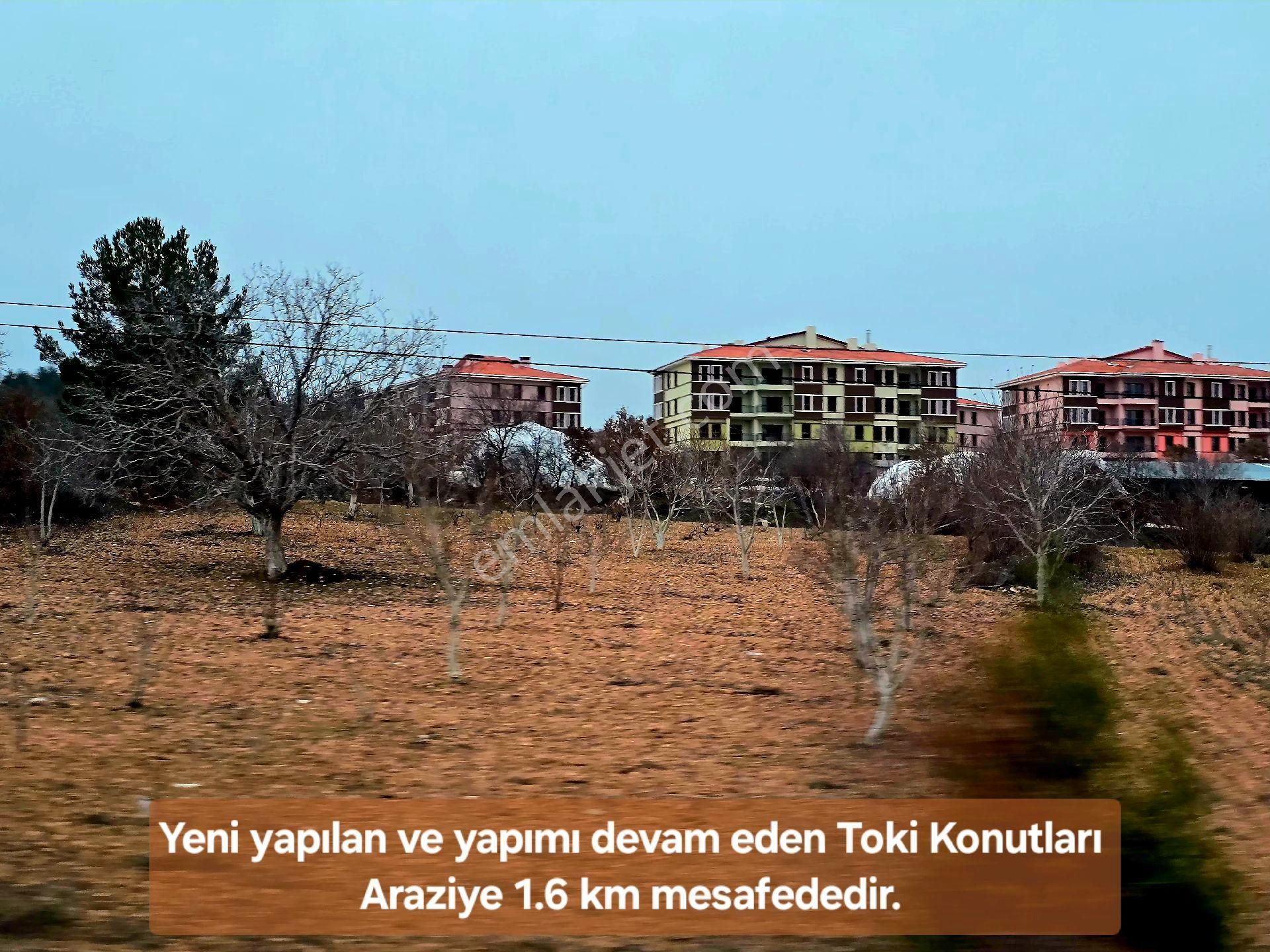 Denizli Bekilli Üçkuyu'da 1.161 M2 Karayolu Yanı, İlçe Toki Köy Manzaralı Tarla. Açıklamayı Okuyunuz - Görsel 29