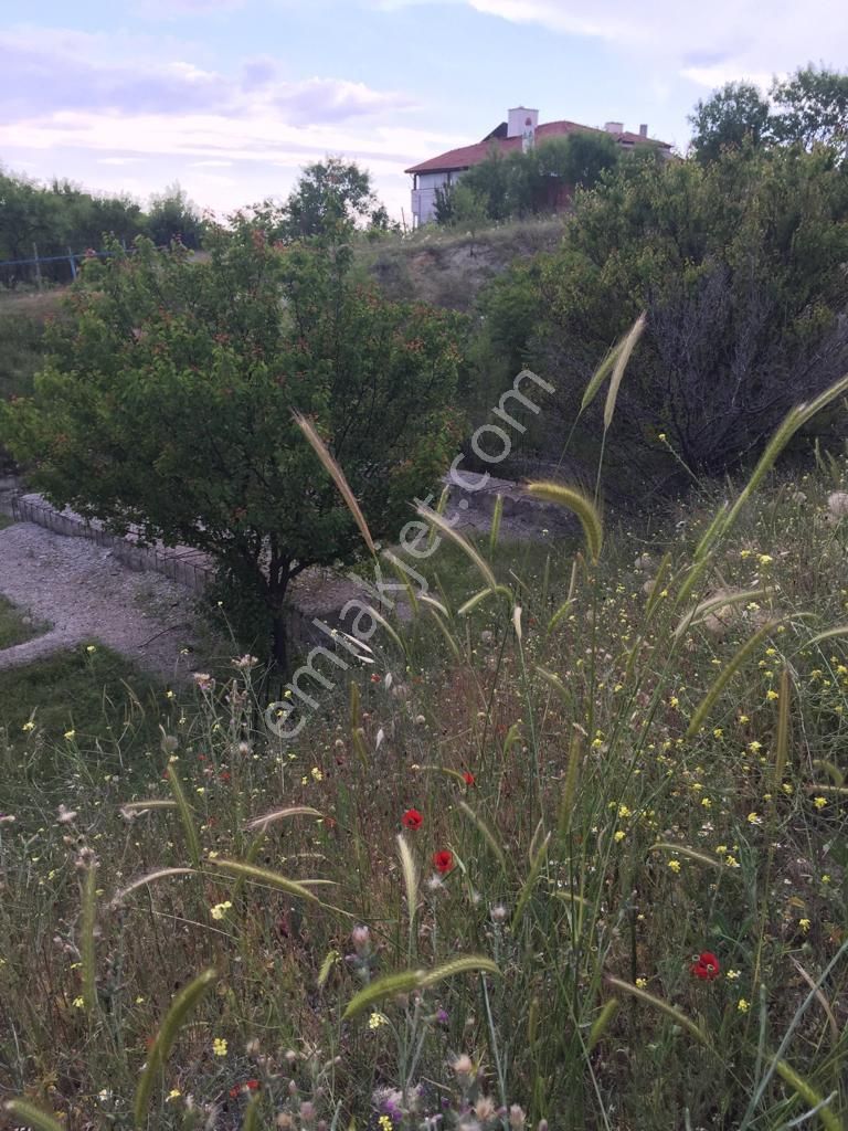 Turkuaz Emlak'dan Ayaş/hacırecepte Tek Tapu Satılık Arsa - Görsel 4