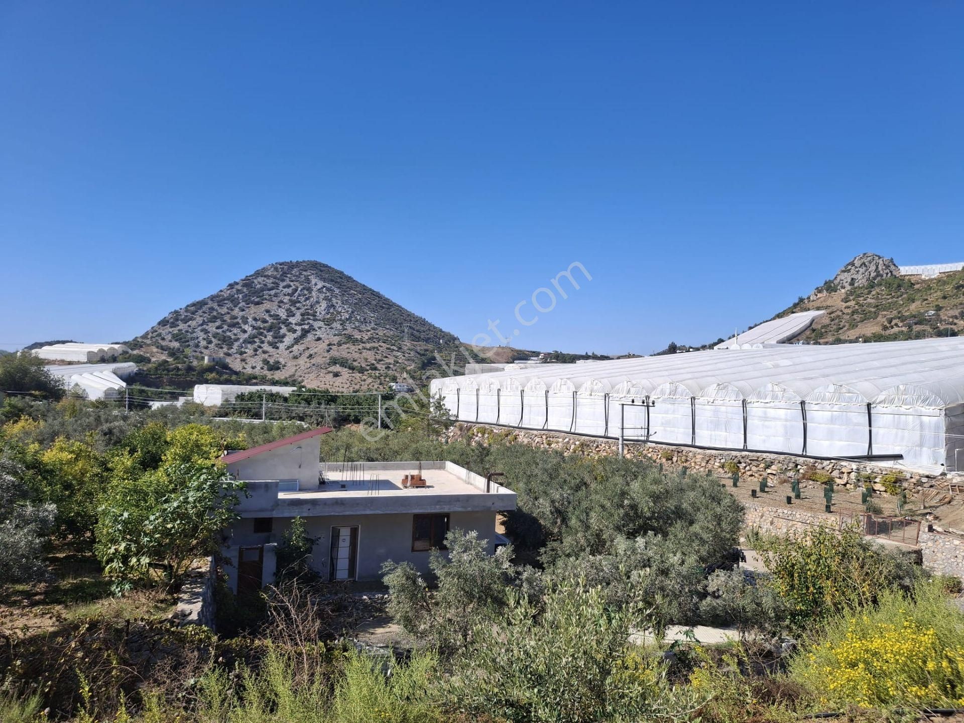 Alanya İmamlı | Yola Cepheli | 5.375 M2 Tarıma Uygun Verimli Tarla - Görsel 5