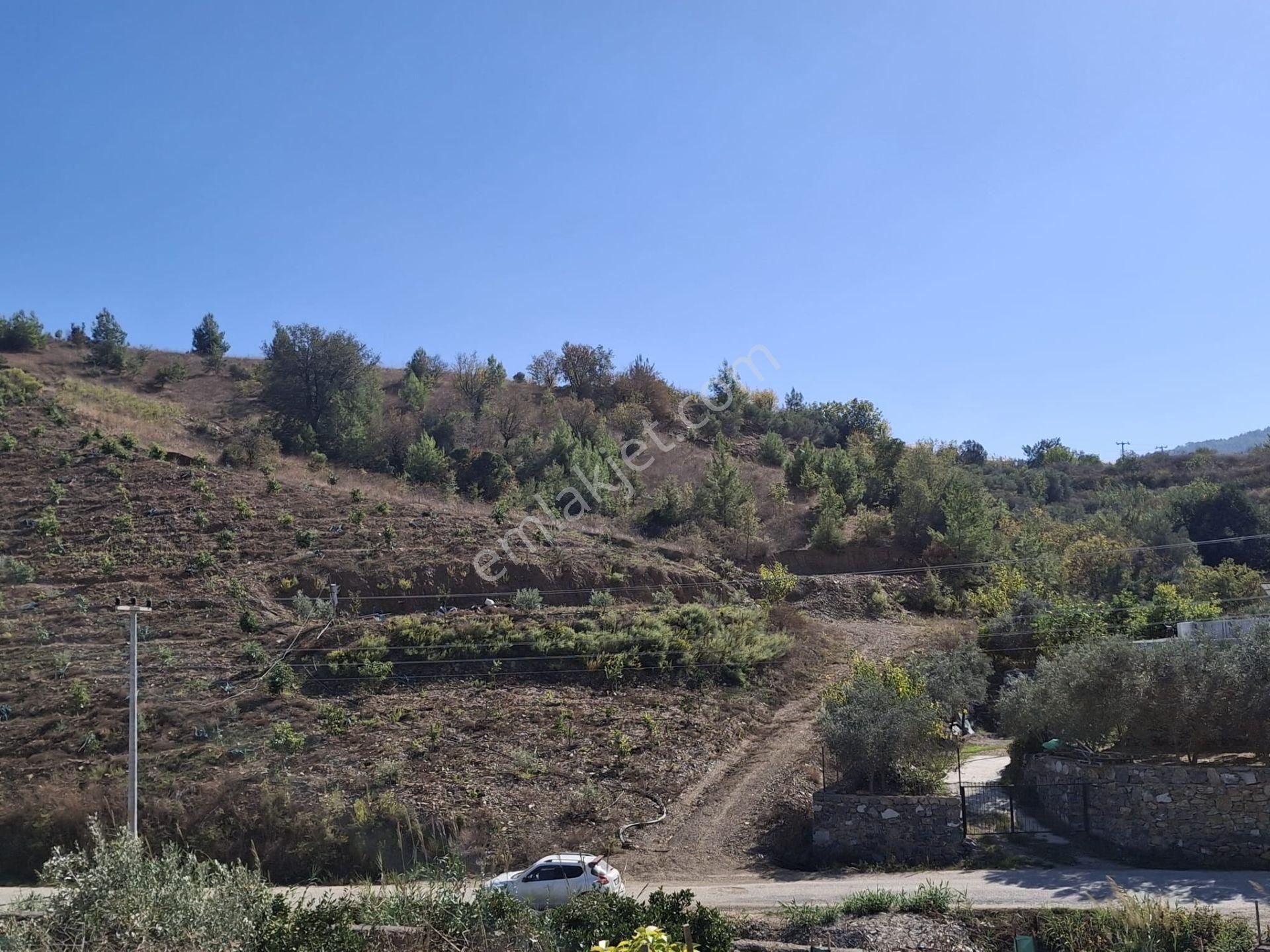 Alanya İmamlı | Yola Cepheli | 5.375 M2 Tarıma Uygun Verimli Tarla - Görsel 12