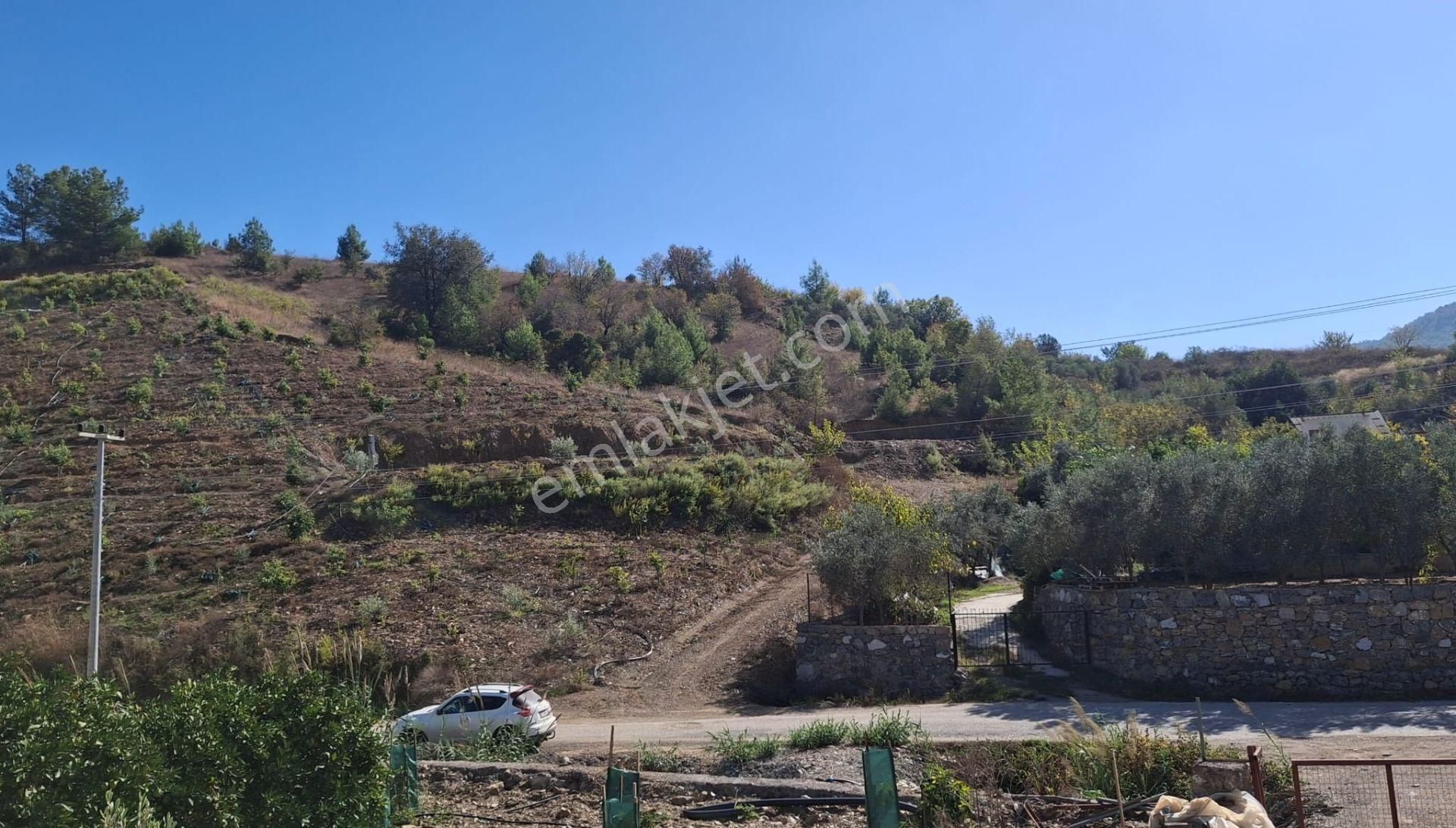 Alanya İmamlı | Yola Cepheli | 5.375 M2 Tarıma Uygun Verimli Tarla - Görsel 7