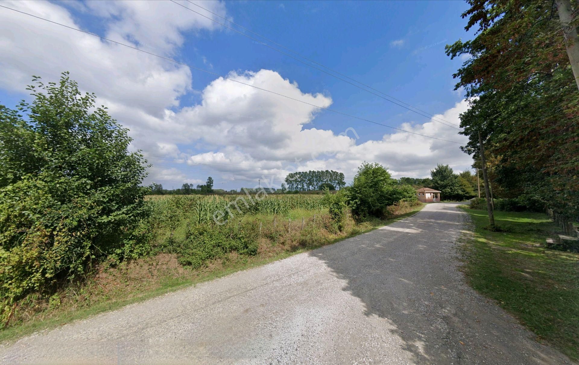 *samsun Terme Yenicami'de 18.885 M2 Çift Yol Cepheli Komple Fındık Bahçesi* - Görsel 6