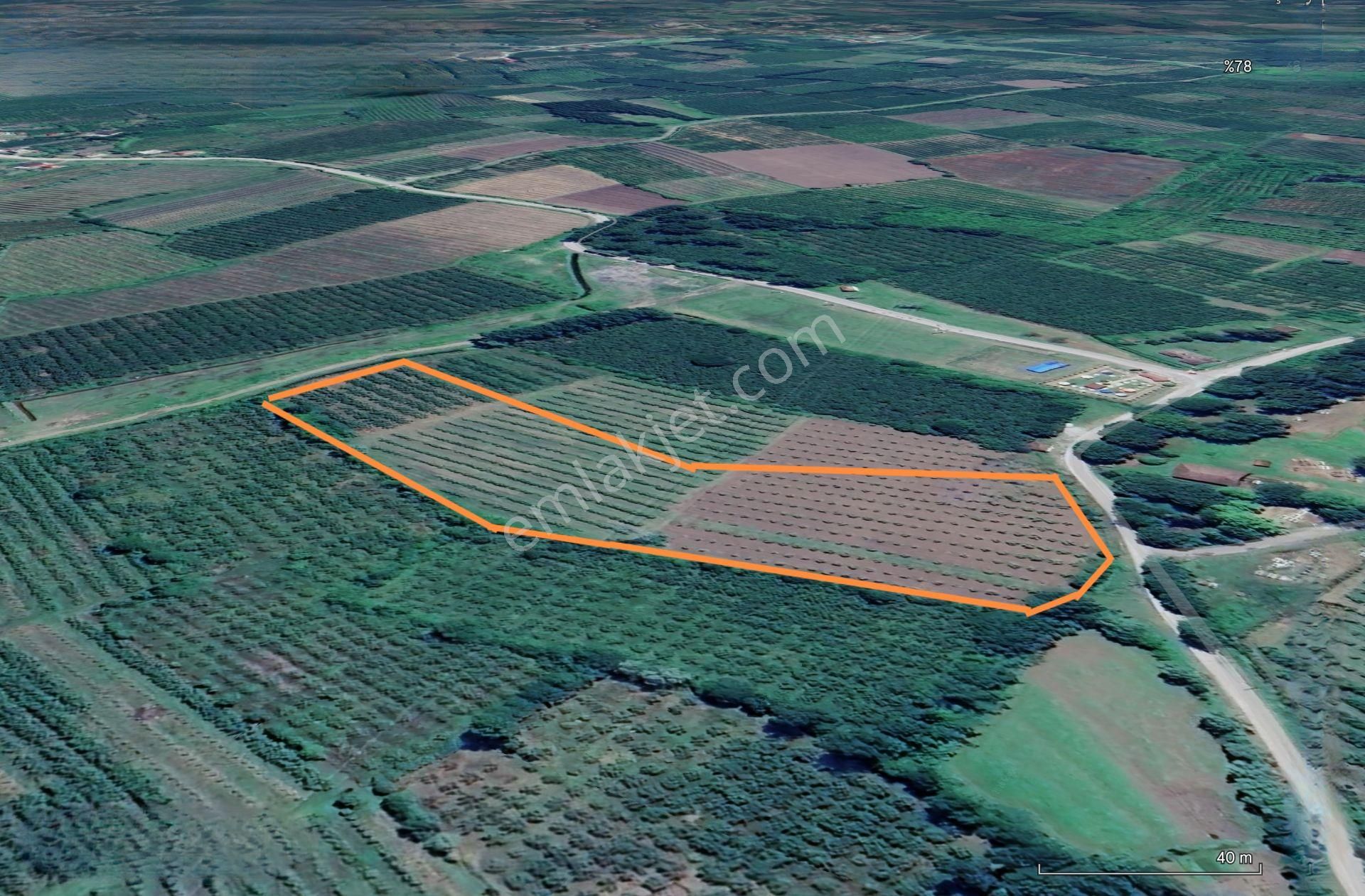 *samsun Terme Yenicami'de 18.885 M2 Çift Yol Cepheli Komple Fındık Bahçesi*