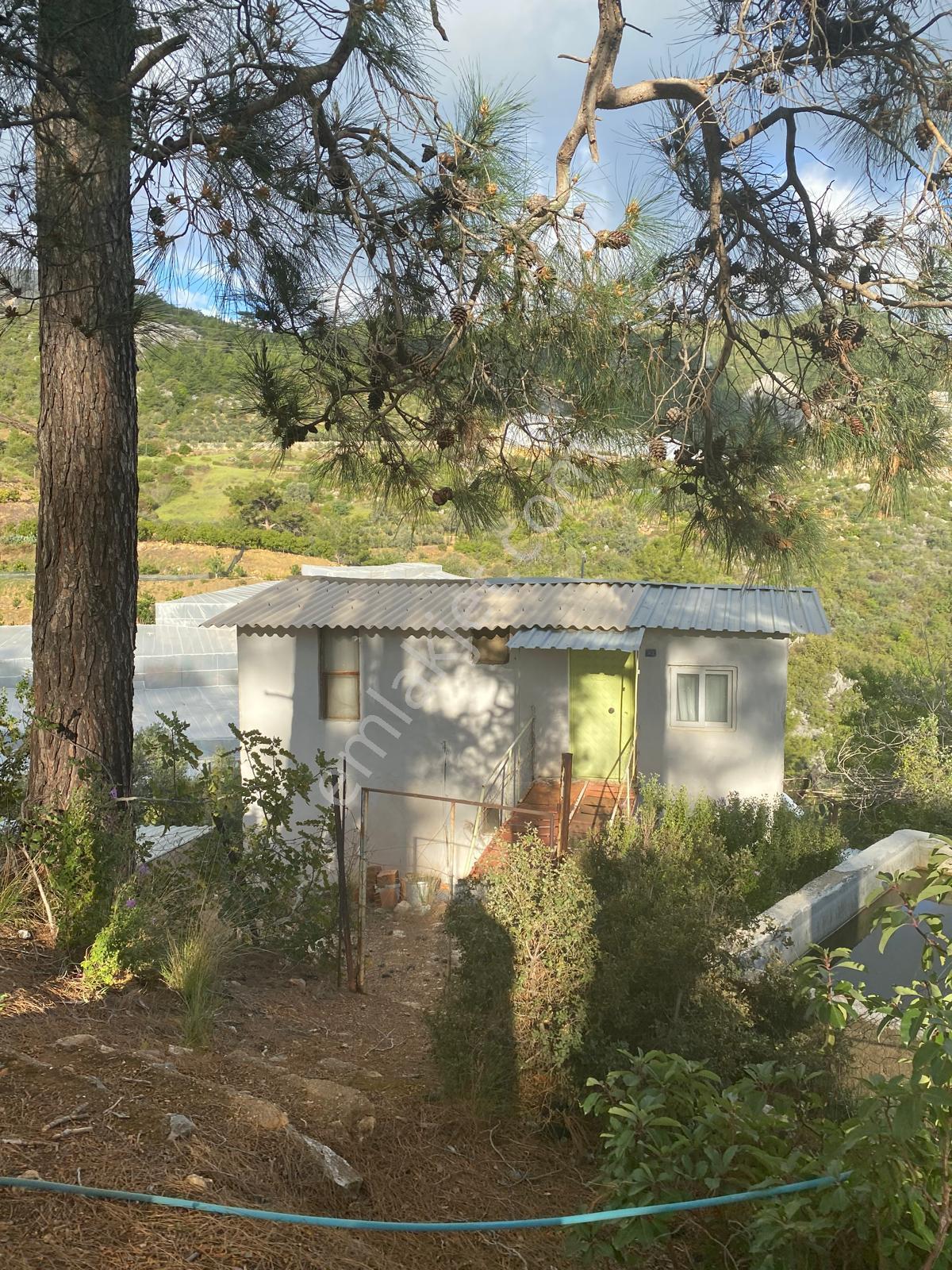 Zeytinlik İçinde 2 Katlı Ev | Sulama & Havuz Var | Orman Yanı - Görsel 3