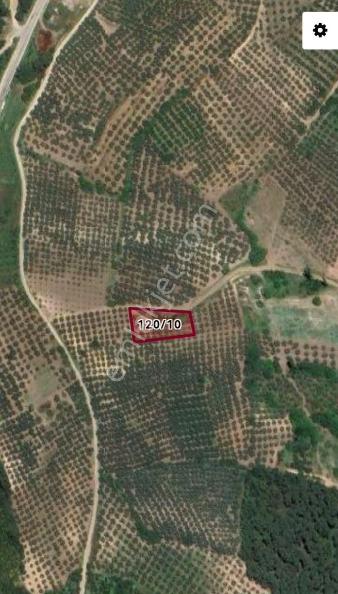 Selçuklu'dan İpekyayla'da Yola Cephe Yerleşime Yakın Fırsat - Görsel 2