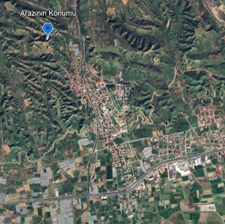 Nazilli İsabeyli Mah. Yola Cephe Uygun Fiyatlı Zeytinlik - Görsel 4