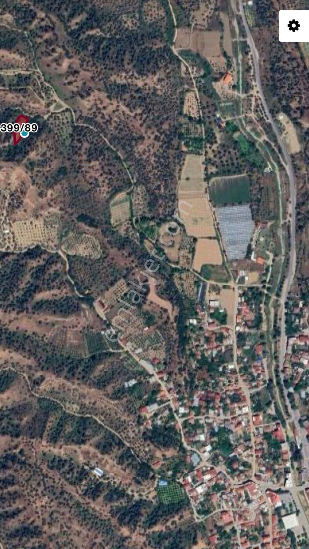 Nazilli İsabeyli Mah. Yola Cephe Uygun Fiyatlı Zeytinlik - Görsel 17