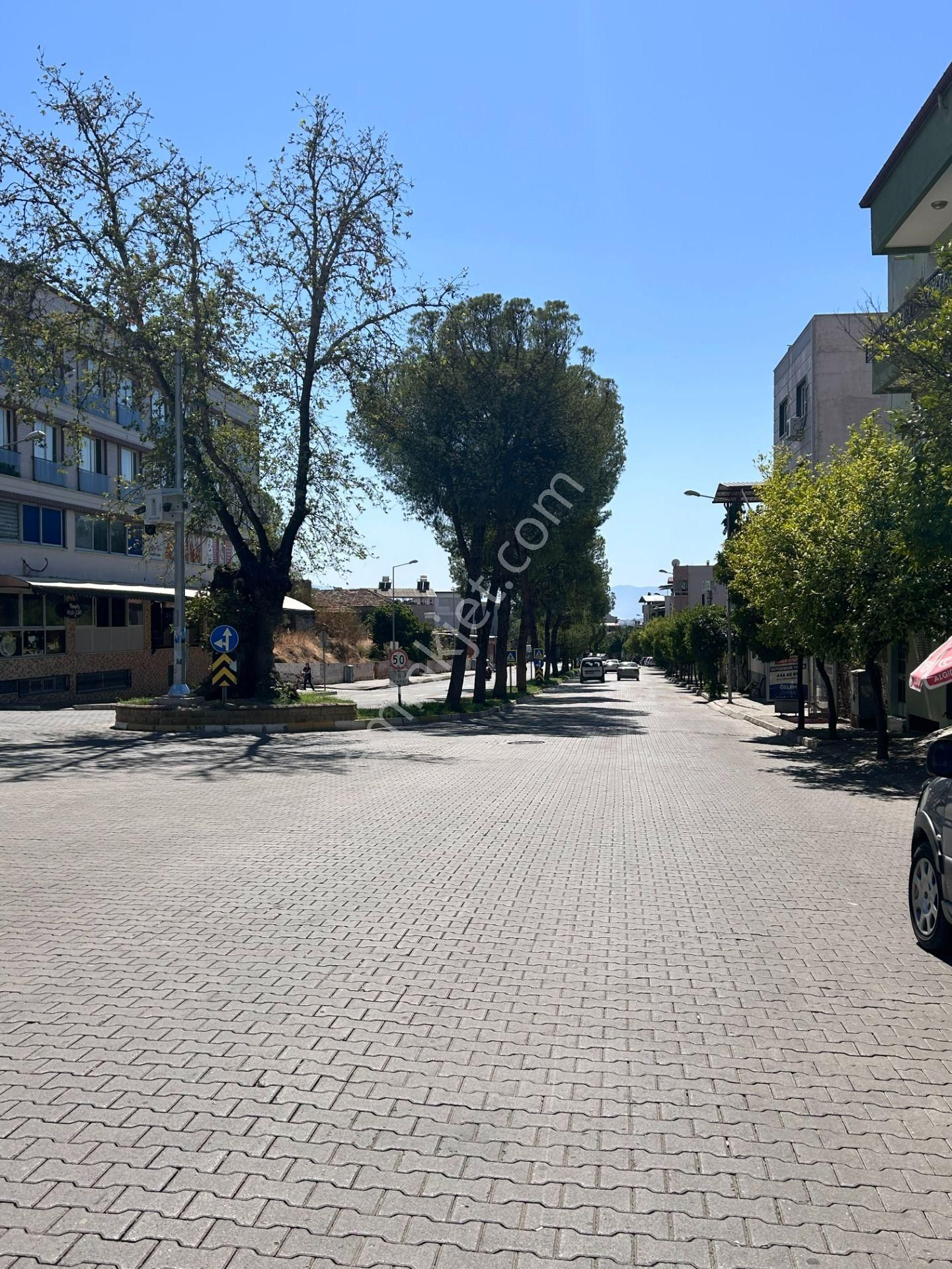 Nazilli İsabeyli Mah. Yola Cephe Uygun Fiyatlı Zeytinlik - Görsel 15