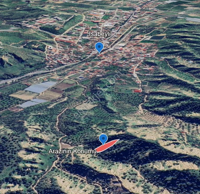 Nazilli İsabeyli Mah. Yola Cephe Uygun Fiyatlı Zeytinlik - Görsel 8