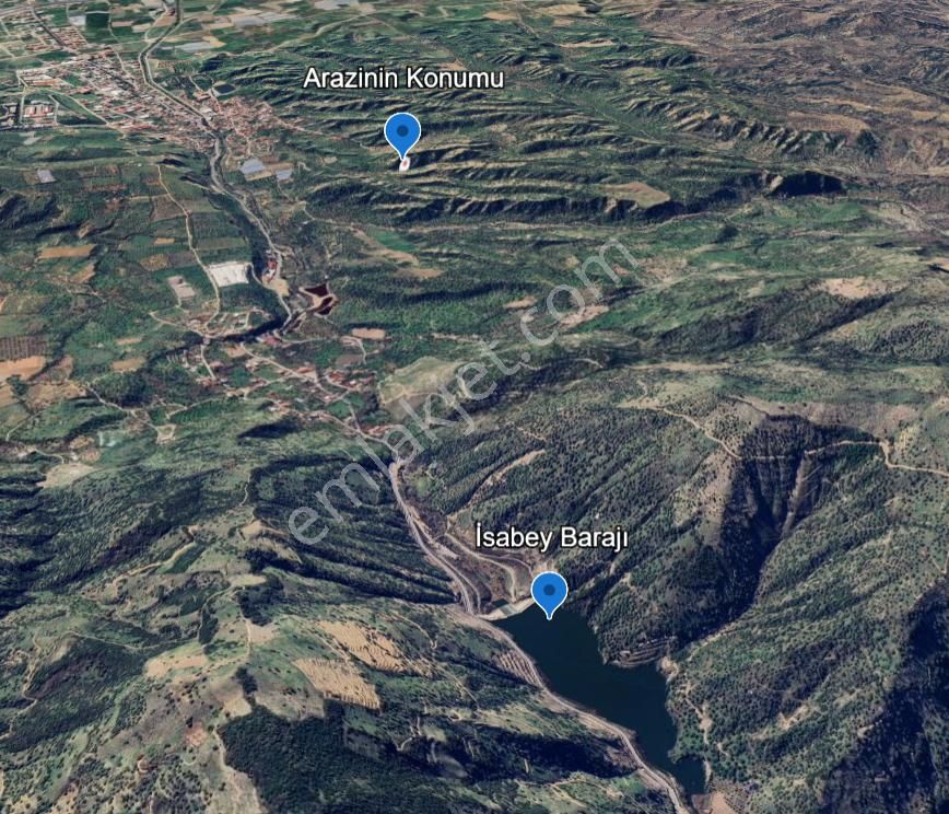 Nazilli İsabeyli Mah. Yola Cephe Uygun Fiyatlı Zeytinlik - Görsel 5