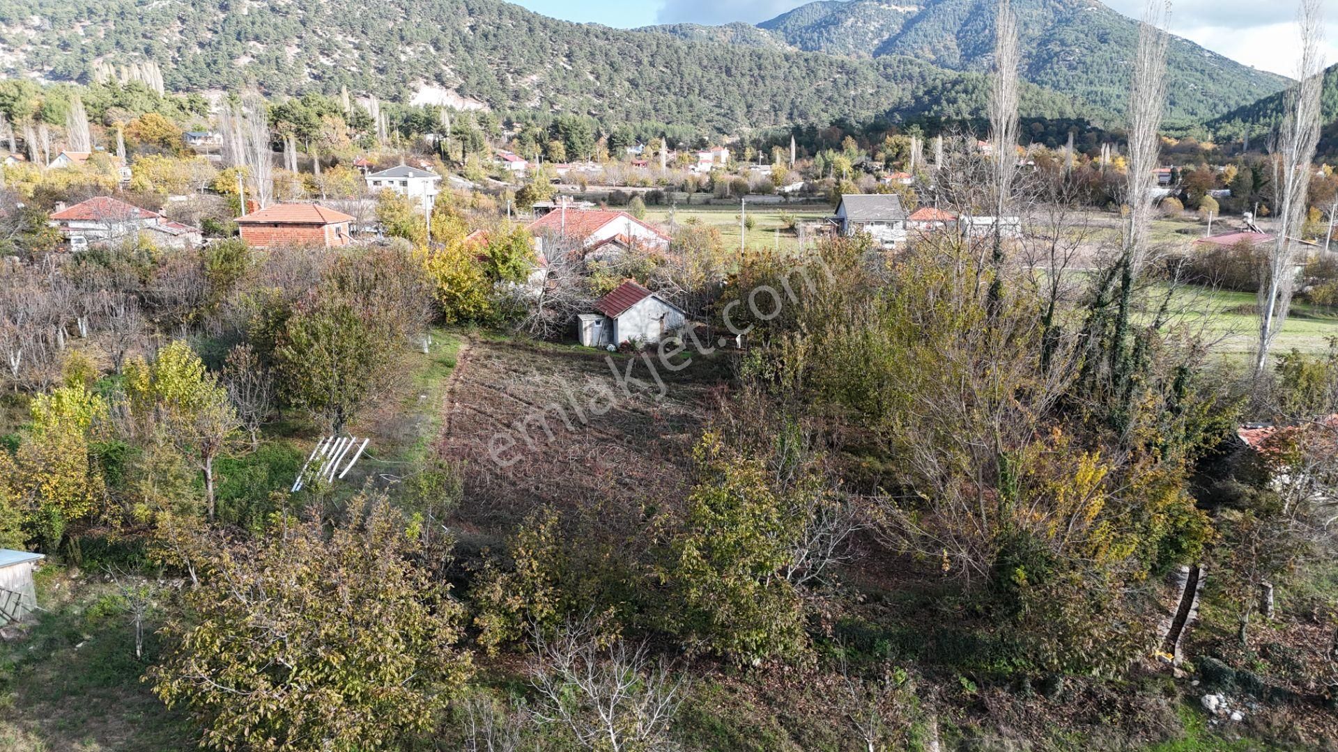 Goldhouse Dan Satılık Nif Yaylasında Kargır Ev Tarla - Görsel 14