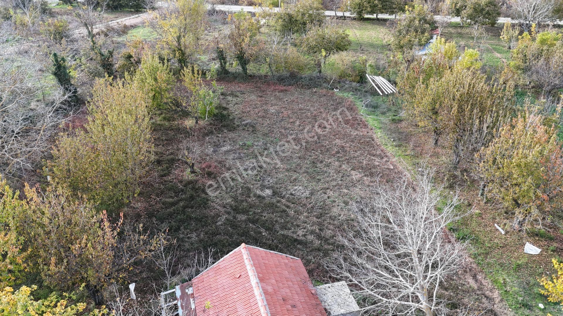 Goldhouse Dan Satılık Nif Yaylasında Kargır Ev Tarla - Görsel 12