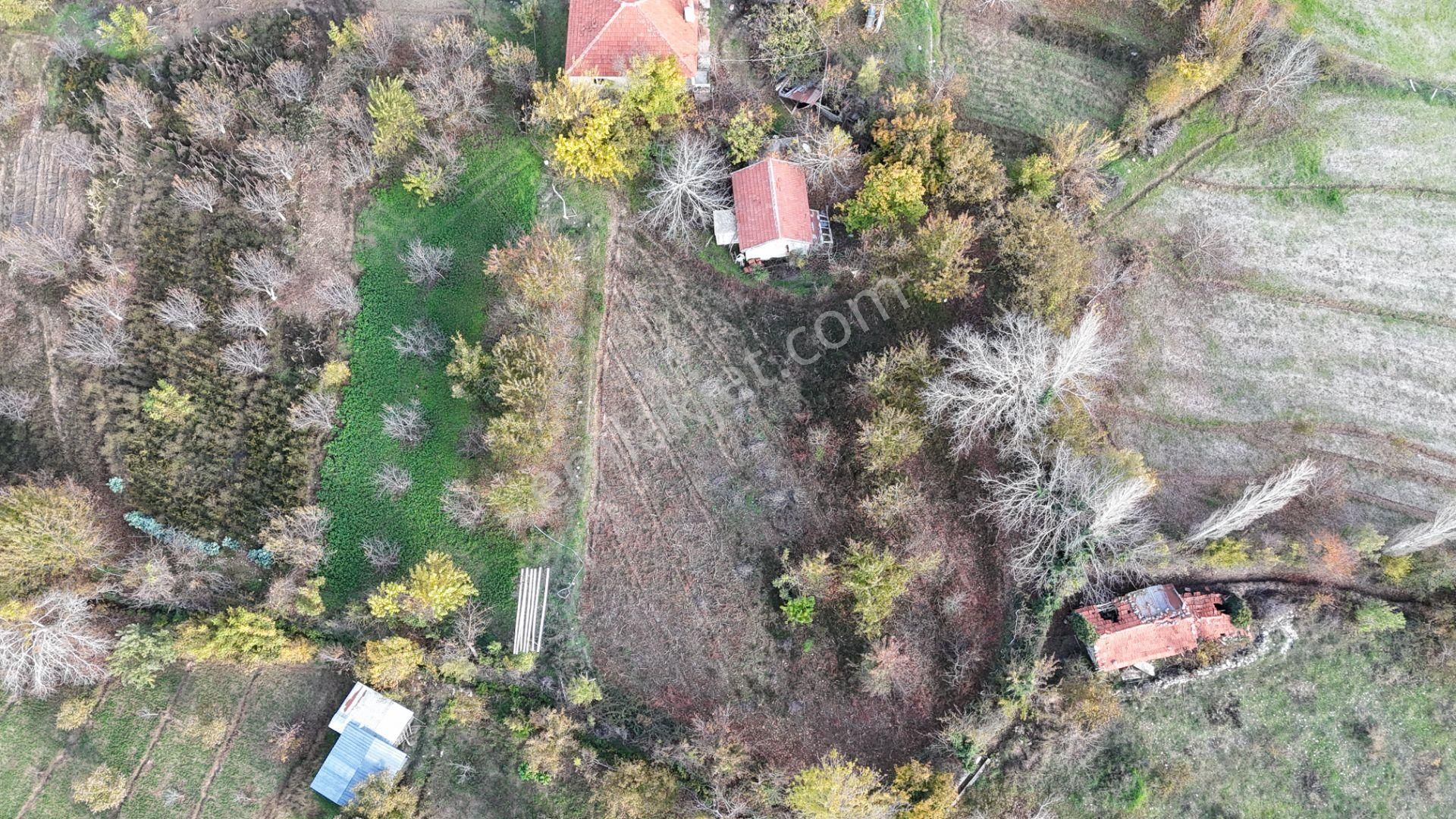 Goldhouse Dan Satılık Nif Yaylasında Kargır Ev Tarla - Görsel 13