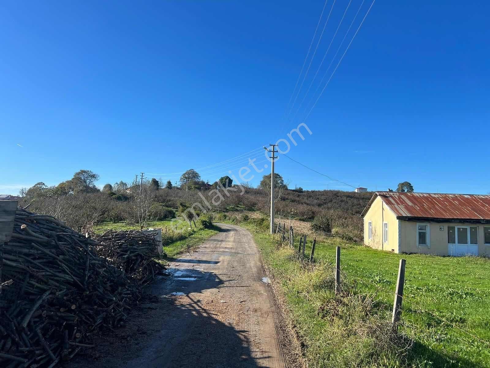 Ayhan Hepdiker'den Resuller'de 84500m2 Çiftlik Ve Fındıklık - Görsel 26