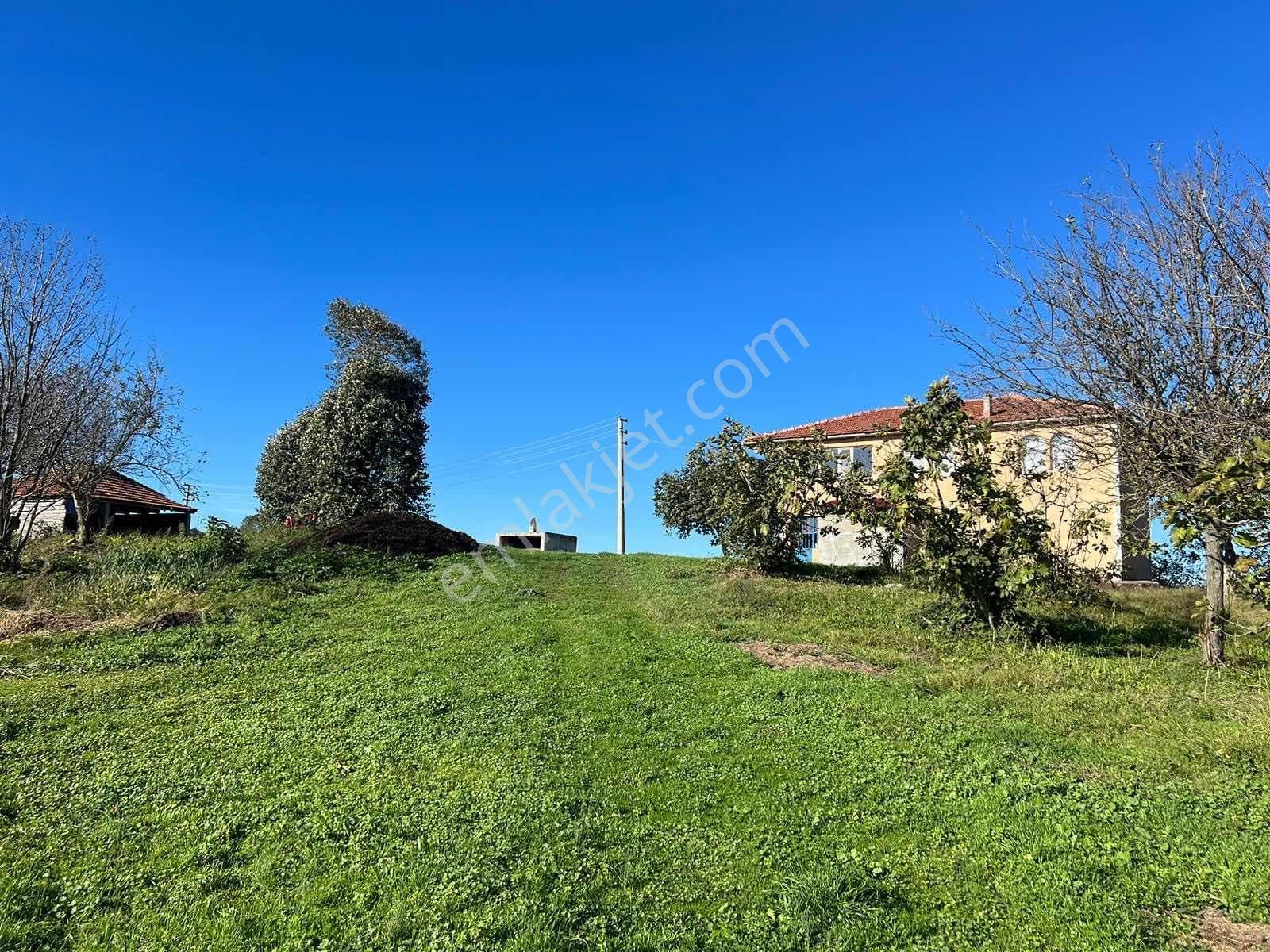 Ayhan Hepdiker'den Resuller'de 84500m2 Çiftlik Ve Fındıklık - Görsel 24