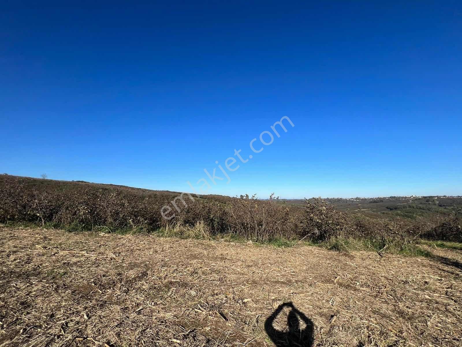 Ayhan Hepdiker'den Resuller'de 84500m2 Çiftlik Ve Fındıklık - Görsel 22