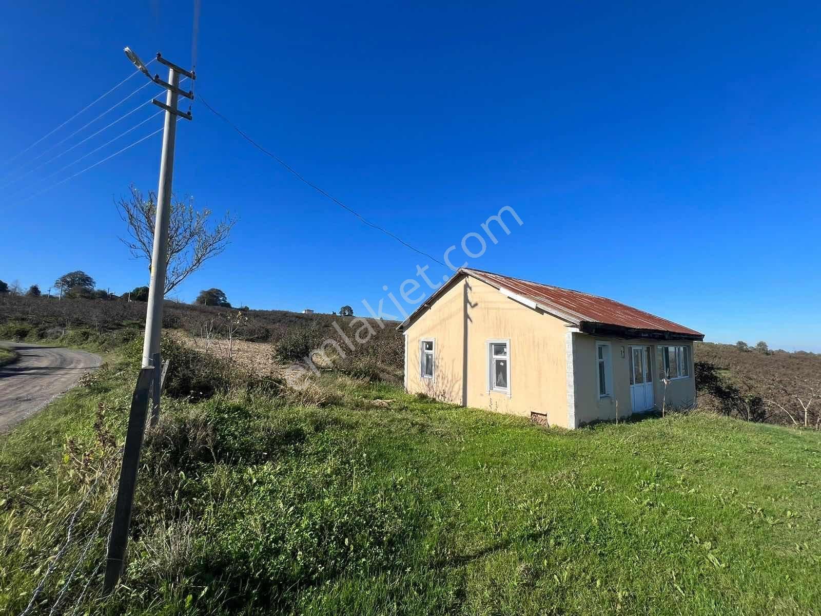 Ayhan Hepdiker'den Resuller'de 84500m2 Çiftlik Ve Fındıklık - Görsel 15