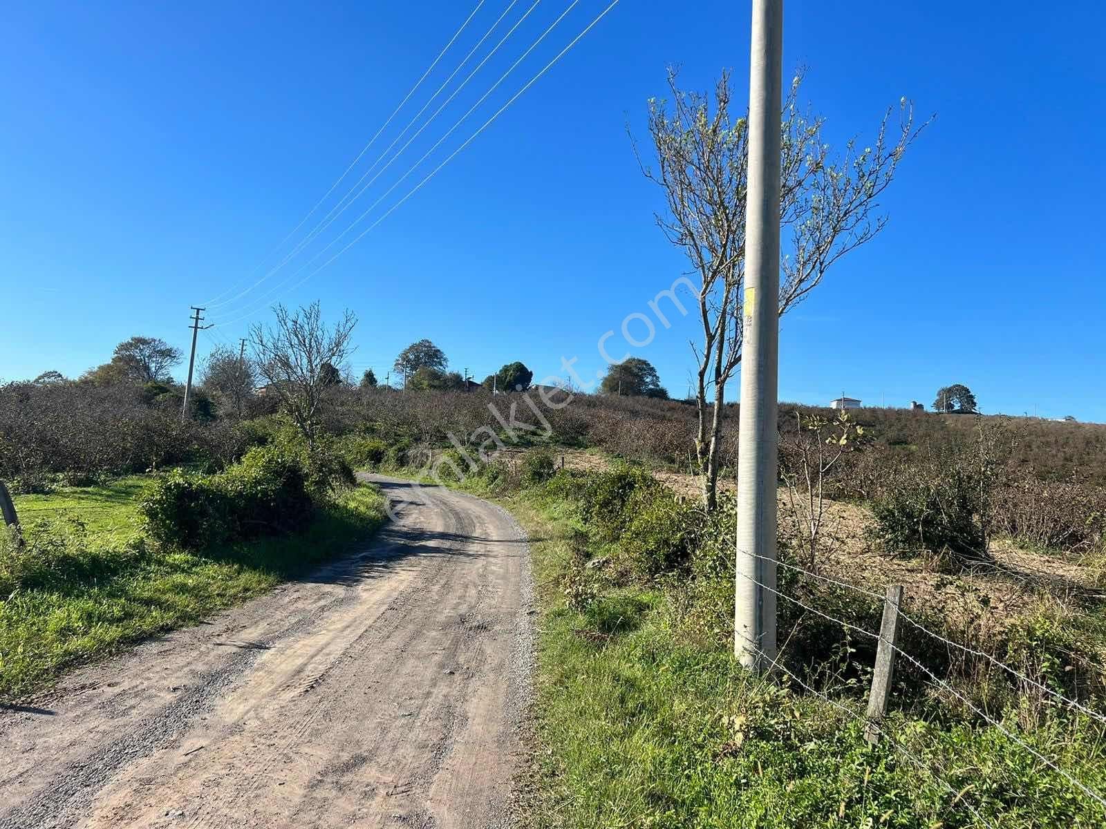 Ayhan Hepdiker'den Resuller'de 84500m2 Çiftlik Ve Fındıklık - Görsel 11