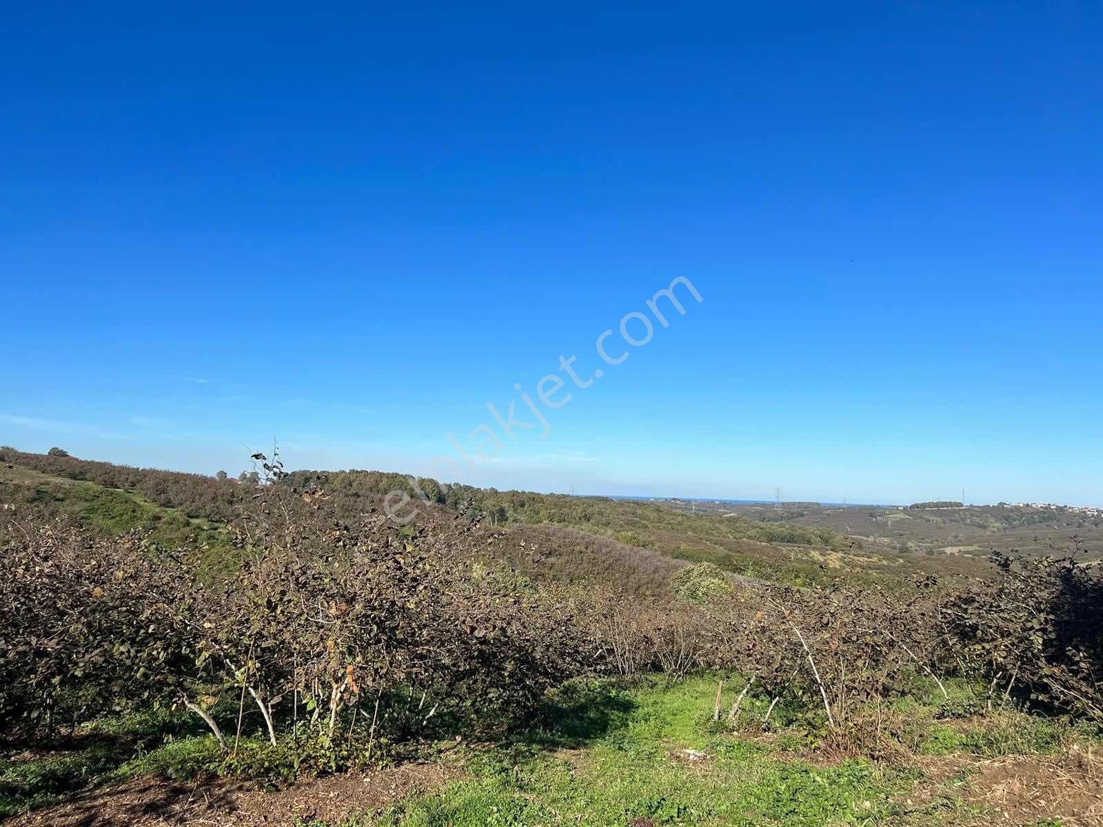 Ayhan Hepdiker'den Resuller'de 84500m2 Çiftlik Ve Fındıklık - Görsel 25