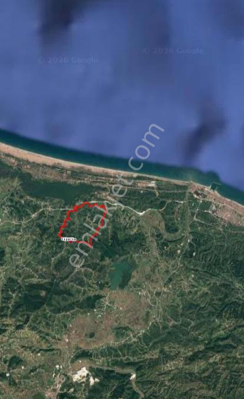 Ayhan Hepdiker'den Resuller'de 84500m2 Çiftlik Ve Fındıklık - Görsel 12