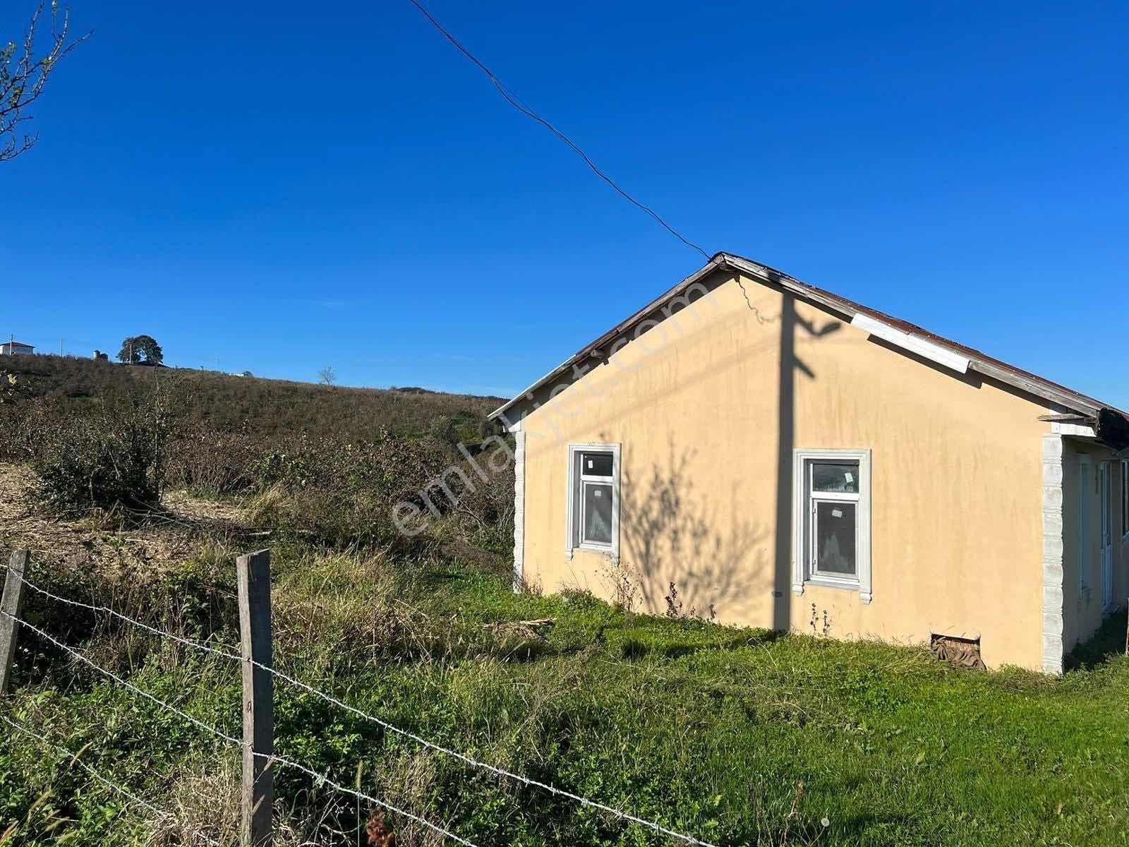 Ayhan Hepdiker'den Resuller'de 84500m2 Çiftlik Ve Fındıklık - Görsel 20