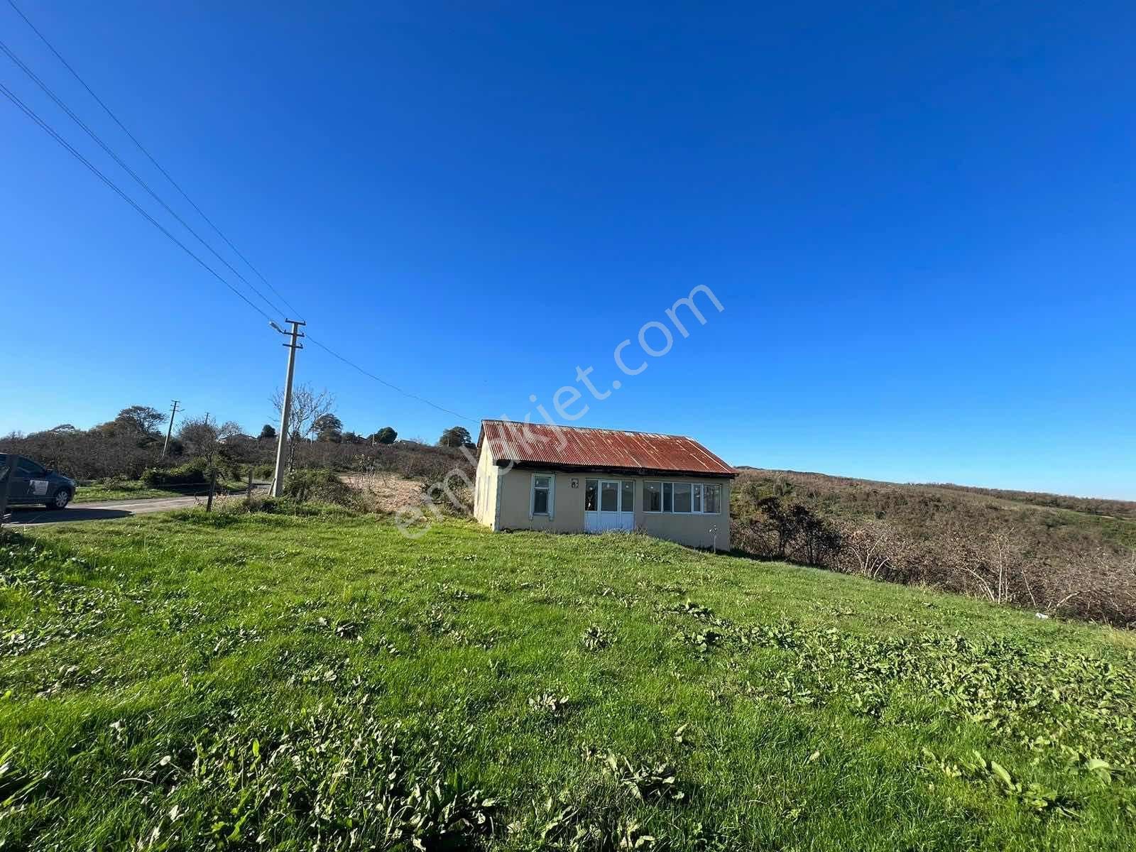 Ayhan Hepdiker'den Resuller'de 84500m2 Çiftlik Ve Fındıklık - Görsel 13