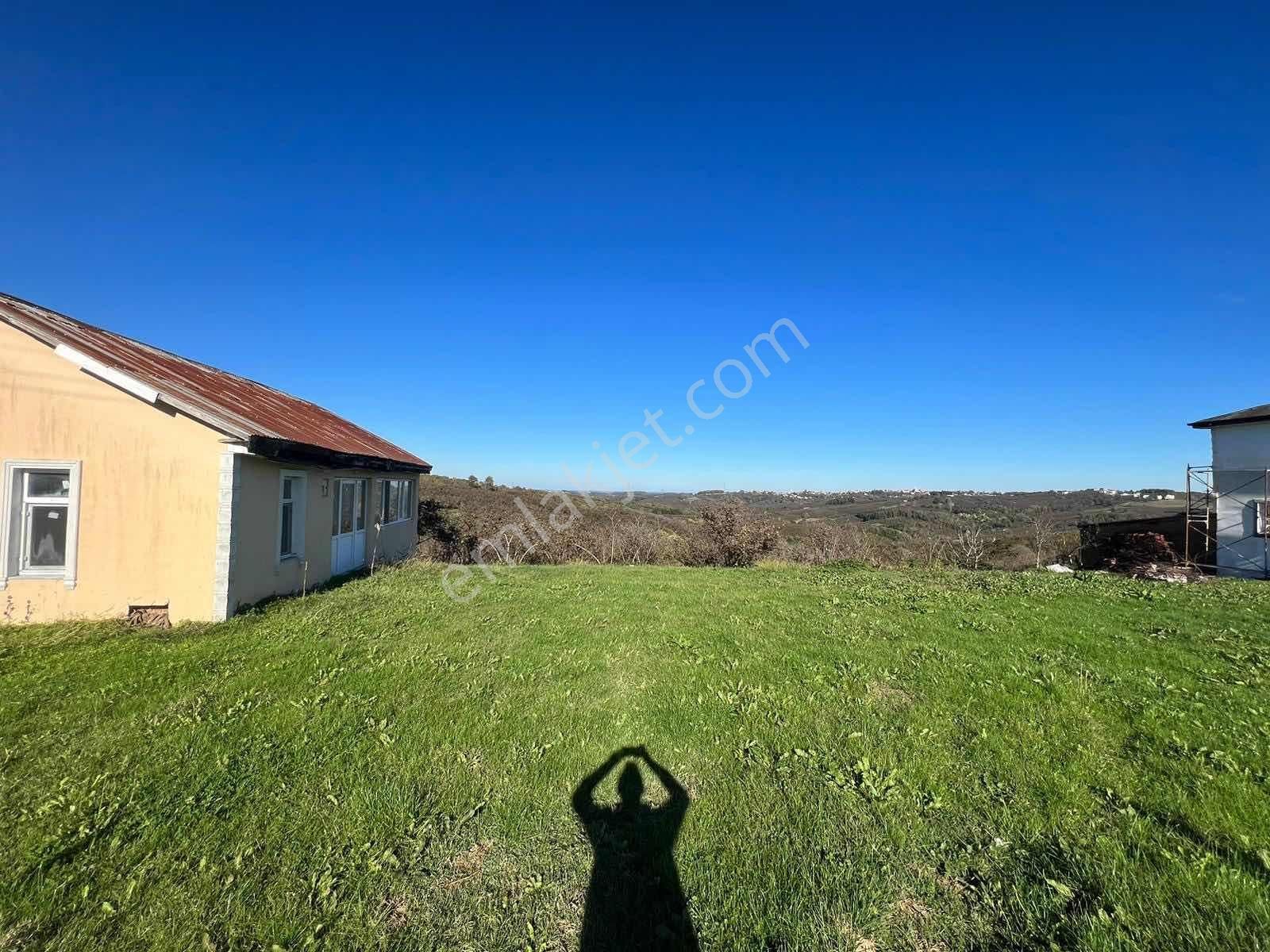 Ayhan Hepdiker'den Resuller'de 84500m2 Çiftlik Ve Fındıklık - Görsel 14