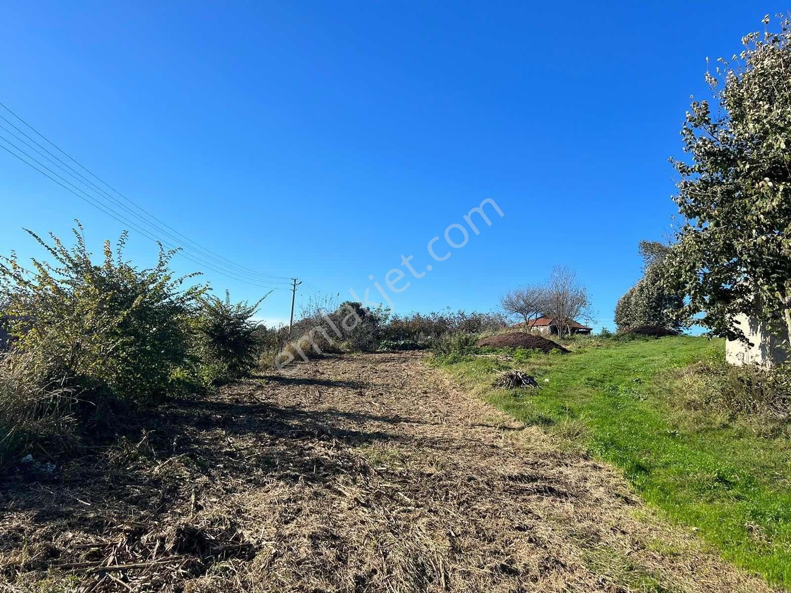 Ayhan Hepdiker'den Resuller'de 84500m2 Çiftlik Ve Fındıklık - Görsel 10