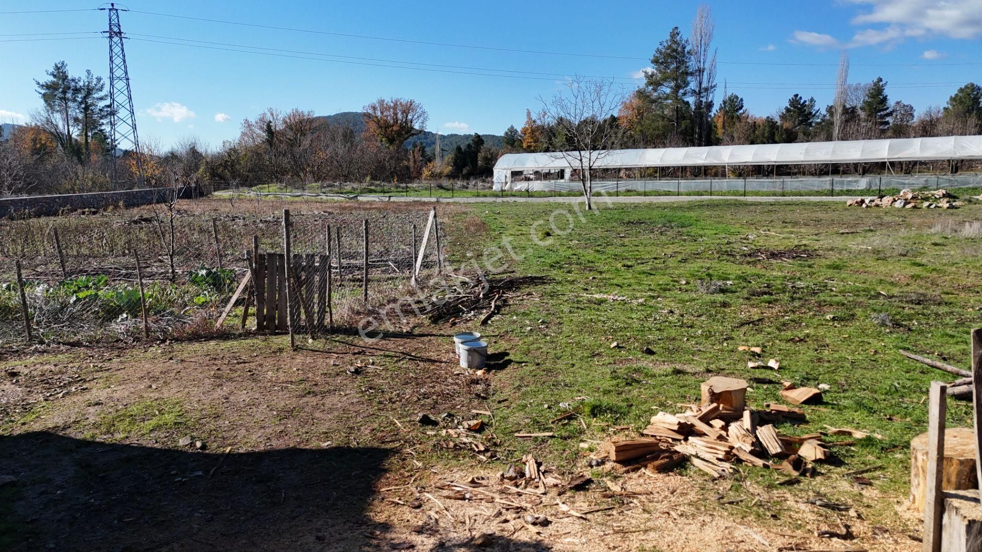 Goldhouse Dan Satılık Köy Fethiye Nif Yaylasında Ana Yola Sıfır 1725m2 Olan Tarla - Görsel 21