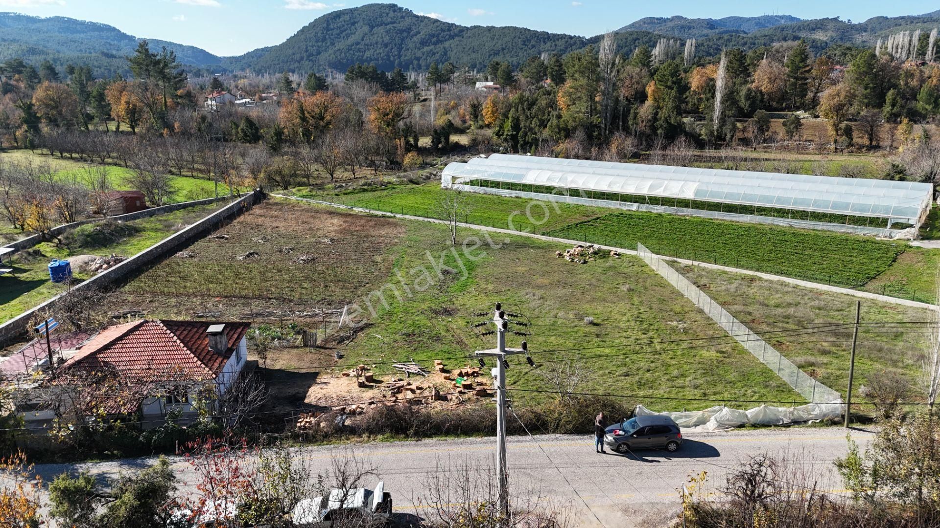Goldhouse Dan Satılık Köy Fethiye Nif Yaylasında Ana Yola Sıfır 1725m2 Olan Tarla - Görsel 12