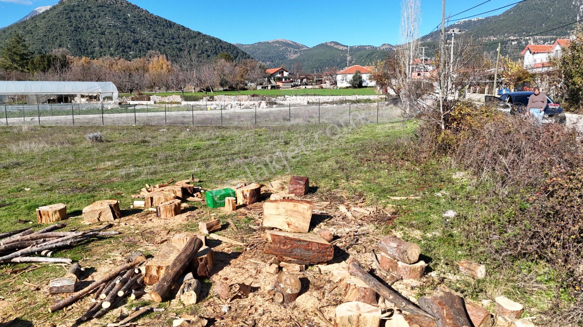 Goldhouse Dan Satılık Köy Fethiye Nif Yaylasında Ana Yola Sıfır 1725m2 Olan Tarla - Görsel 19