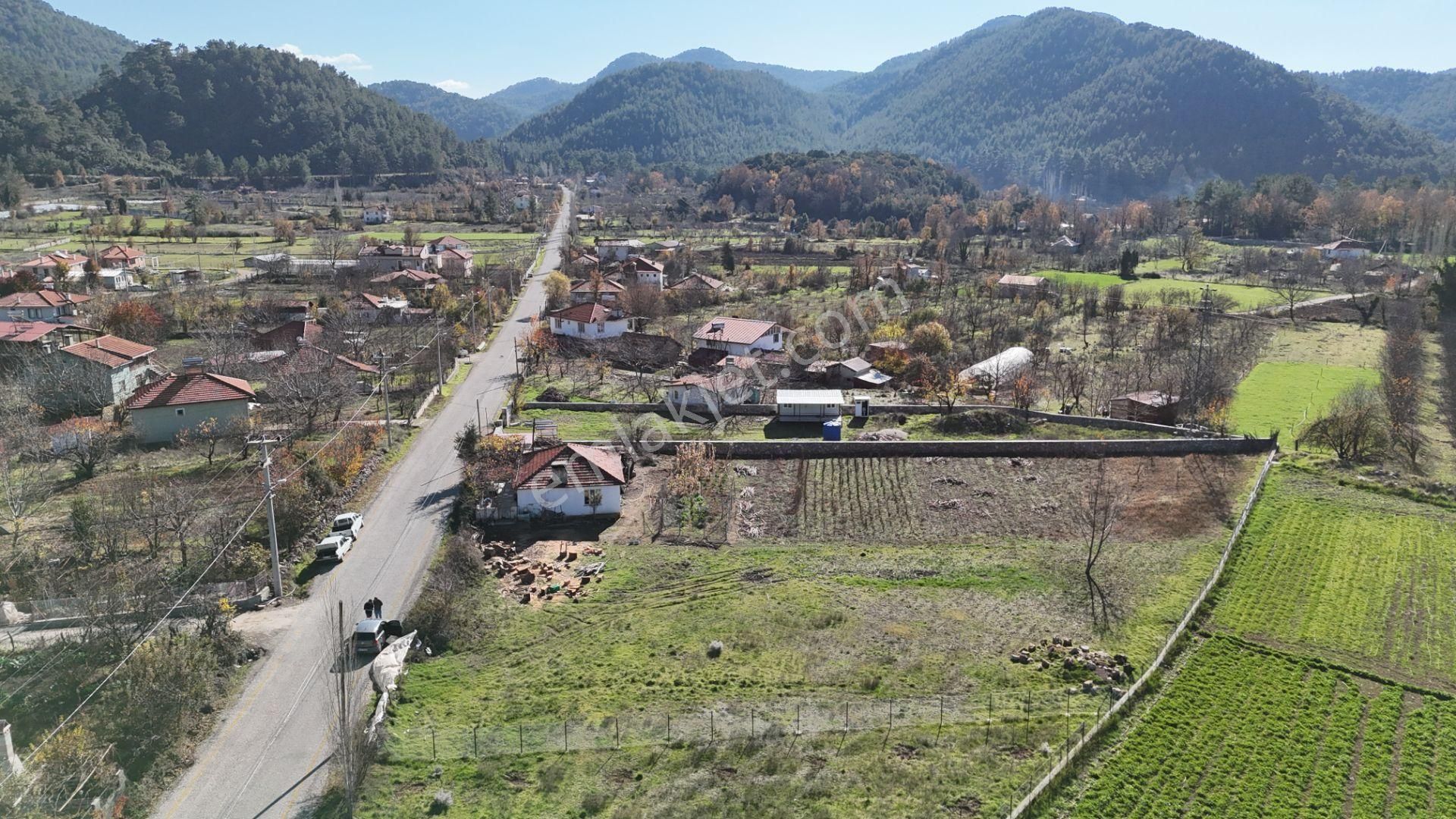Goldhouse Dan Satılık Köy Fethiye Nif Yaylasında Ana Yola Sıfır 1725m2 Olan Tarla - Görsel 10