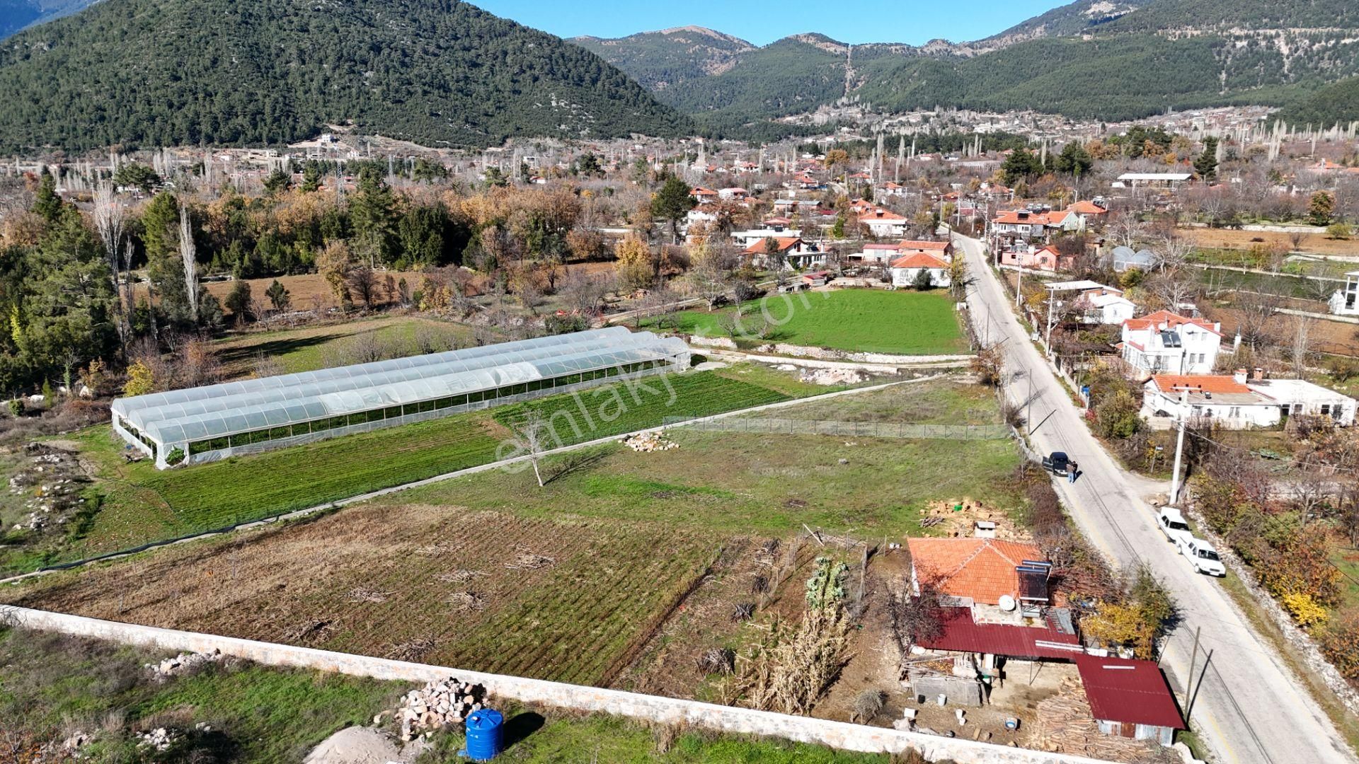 Goldhouse Dan Satılık Köy Fethiye Nif Yaylasında Ana Yola Sıfır 1725m2 Olan Tarla